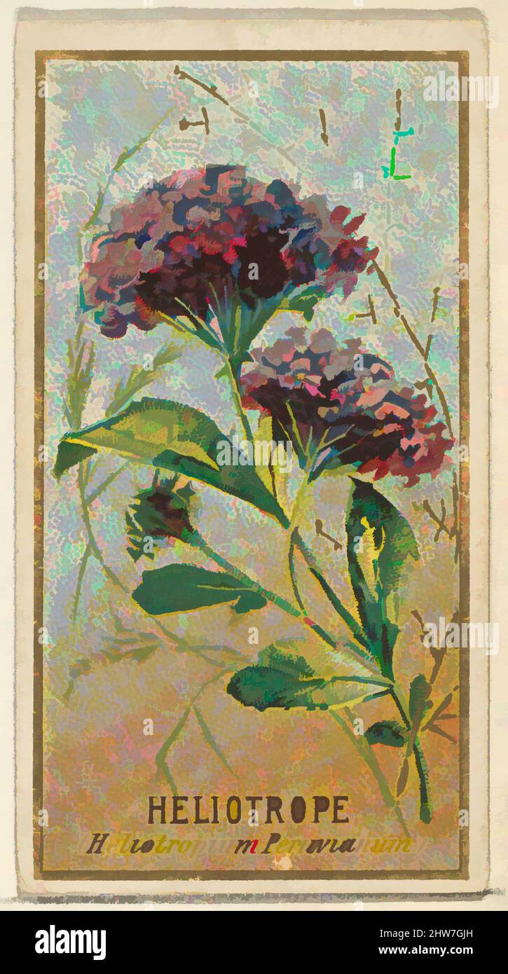 Kunst inspiriert von Heliotrope (Heliotropium Peruvianum), aus der Serie Flowers for Old Judge Zigaretten, 1890, kommerzielle Farblithographie, Blatt: 2 3/4 x 1 1/2 cm (7 x 3,8 cm), die „Blumen“-Serie von Trading Cards (N164), wurde 1890 von Goodwin & Company herausgegeben, um Old Judge, Classic Works zu fördern, die von Artotop mit einem Schuss Moderne modernisiert wurden. Formen, Farbe und Wert, auffällige visuelle Wirkung auf Kunst. Emotionen durch Freiheit von Kunstwerken auf zeitgemäße Weise. Eine zeitlose Botschaft, die eine wild kreative neue Richtung verfolgt. Künstler, die sich dem digitalen Medium zuwenden und die Artotop NFT erschaffen Stockfoto