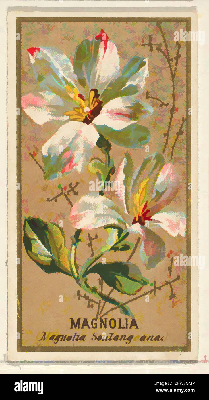 Kunst inspiriert von Magnolia (Magnolia soulangeana), aus der Serie Flowers for Old Judge Cigarettes, 1890, kommerzielle Farblithographie, Blatt: 2 3/4 x 1 1/2 cm (7 x 3,8 cm), die „Blumen“-Serie von Trading Cards (N164), wurde 1890 von Goodwin & Company herausgegeben, um Old Judge, Classic Works zu fördern, die von Artotop mit einem Schuss Moderne modernisiert wurden. Formen, Farbe und Wert, auffällige visuelle Wirkung auf Kunst. Emotionen durch Freiheit von Kunstwerken auf zeitgemäße Weise. Eine zeitlose Botschaft, die eine wild kreative neue Richtung verfolgt. Künstler, die sich dem digitalen Medium zuwenden und die Artotop NFT erschaffen Stockfoto