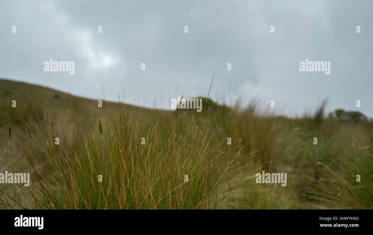 An einem sehr bewölkten Tag liegt die Landschaft der Anden ohne Menschen an den Hängen des Vulkans Pichincha in der Nähe der Stadt Quito Stockfoto