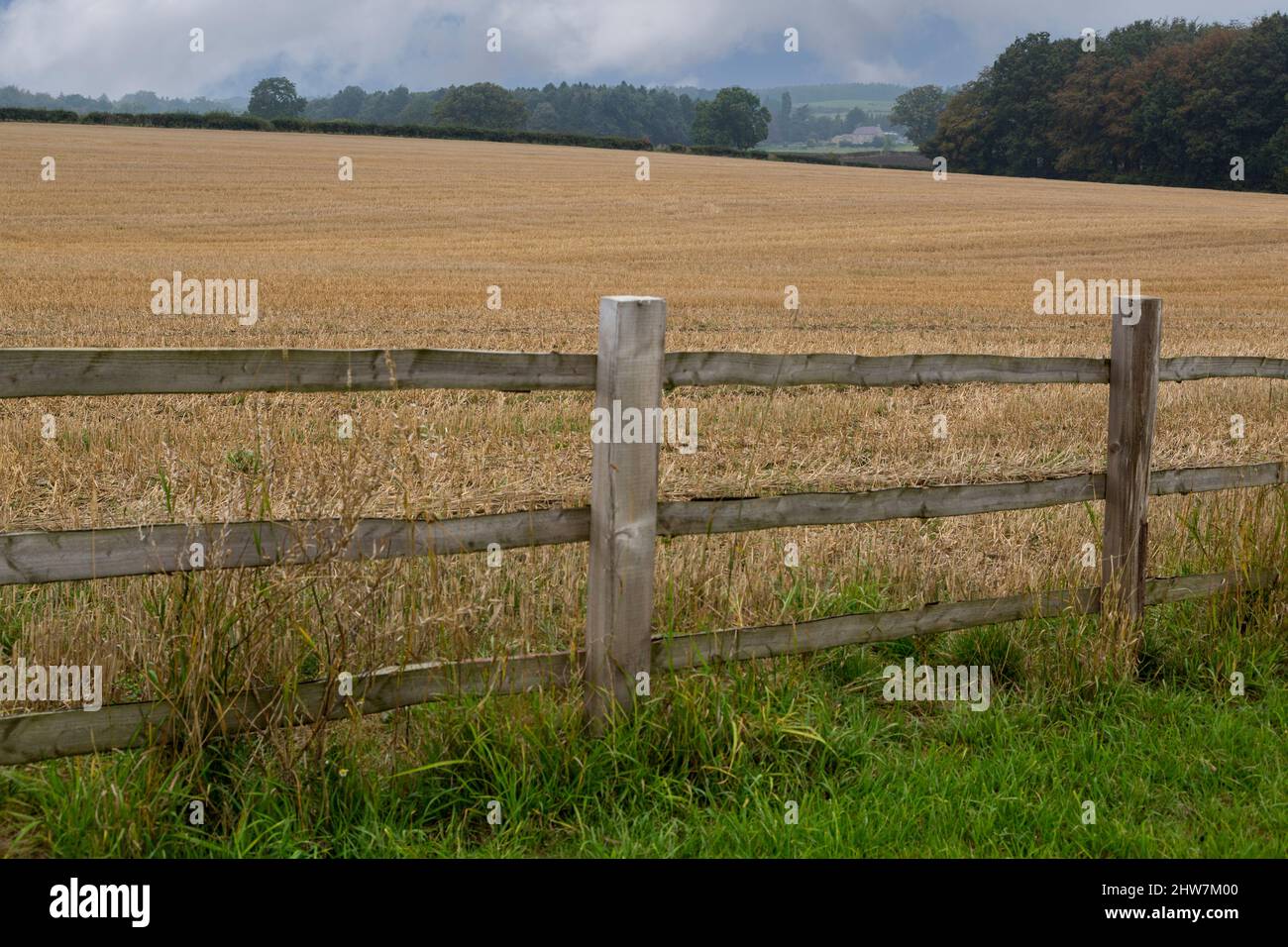 Großbritannien, England, Yorkshire.  Yorkshire Ackerland, Bauernhaus in der Ferne. Stockfoto