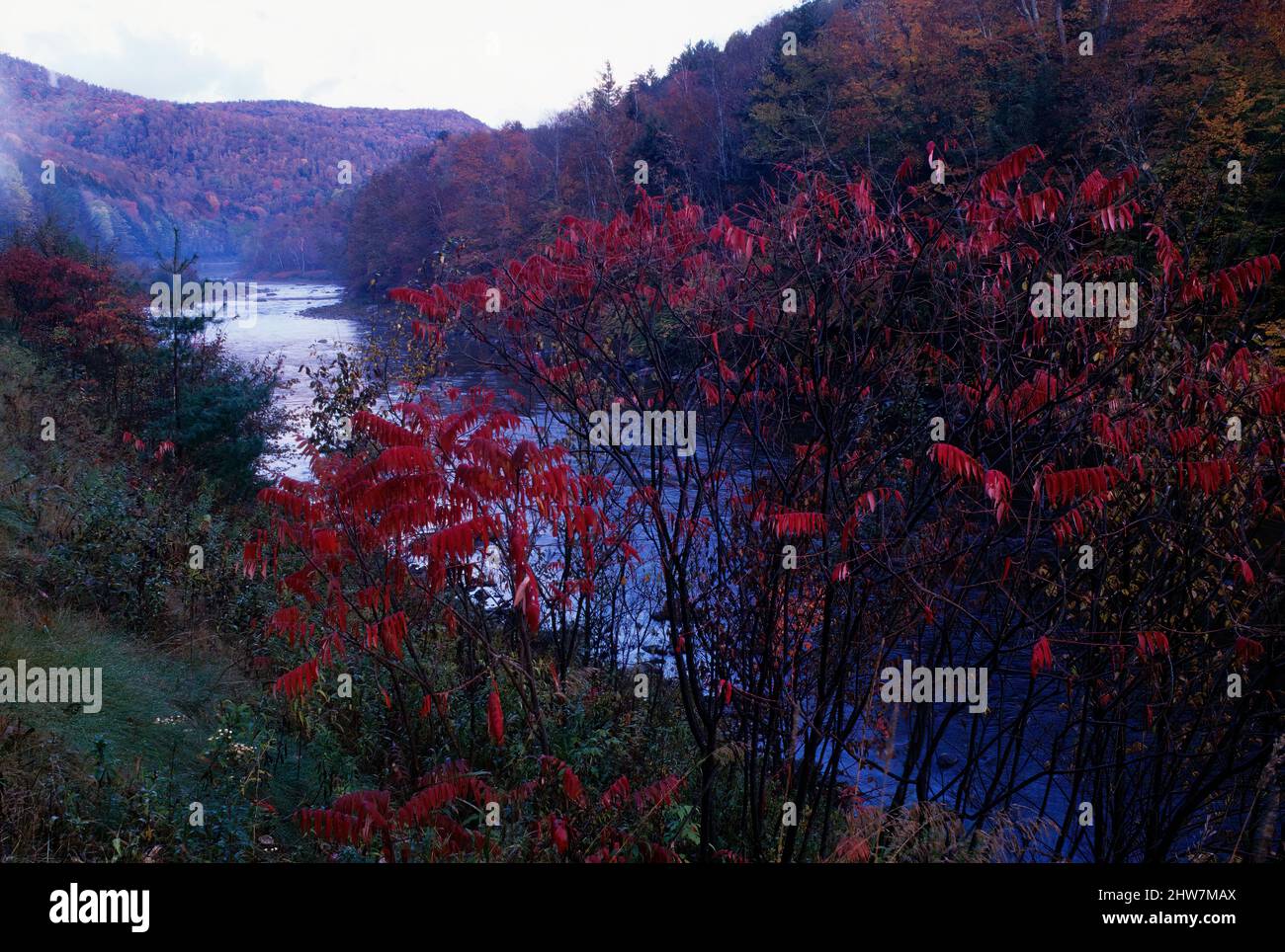 Herbstliche Landschaft des White River in den Green Mountains Vermont Stockfoto