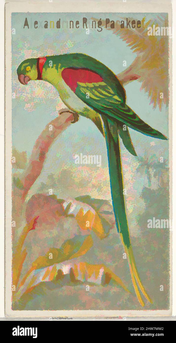 Art inspired by Alexandrine Ring Sittich, from the Birds of the Tropics series (N5) for Allen & Ginter Cigarettes Brands, 1889, Commercial color lithograph, Sheet: 2 3/4 x 1 1/2 in. (7 x 3,8 cm), Handelskarten aus der Serie 'Vögel der Tropen' (N5), die 1889 in einer Serie von 50 herausgegeben wurde, klassische Werke, die von Artotop mit einem Schuss Moderne modernisiert wurden. Formen, Farbe und Wert, auffällige visuelle Wirkung auf Kunst. Emotionen durch Freiheit von Kunstwerken auf zeitgemäße Weise. Eine zeitlose Botschaft, die eine wild kreative neue Richtung verfolgt. Künstler, die sich dem digitalen Medium zuwenden und die Artotop NFT erschaffen Stockfoto