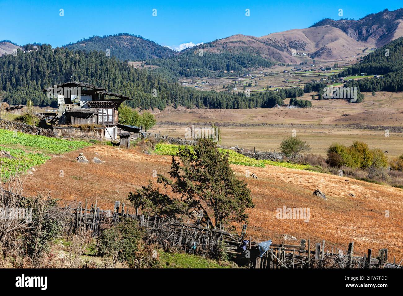 Phobjikha, Bhutan. Tal Szenen, Ackerland und Siedlungen. Typische Bauernhaus im Vordergrund. Stockfoto
