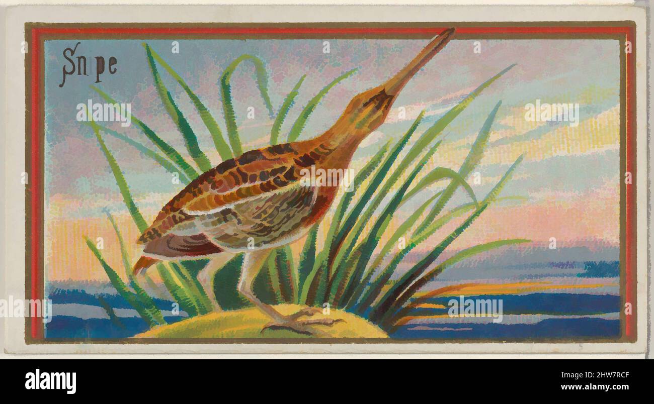 Art Inspired by Snipe, from the Game Birds Series (N13) for Allen & Ginter Cigarettes Brands, 1889, kommerzielle Farblithographie, Blatt: 1 1/2 x 2 3/4 Zoll (3,8 x 7 cm), Trade Cards aus der „Game Birds“-Serie (N13), die 1889 in einem Satz von 50 Karten zur Werbung für die Marke Allen & Ginter herausgegeben wurde. Classic Works wurde von Artotop mit einem Schuss Moderne modernisiert. Formen, Farbe und Wert, auffällige visuelle Wirkung auf Kunst. Emotionen durch Freiheit von Kunstwerken auf zeitgemäße Weise. Eine zeitlose Botschaft, die eine wild kreative neue Richtung verfolgt. Künstler, die sich dem digitalen Medium zuwenden und die Artotop NFT erschaffen Stockfoto
