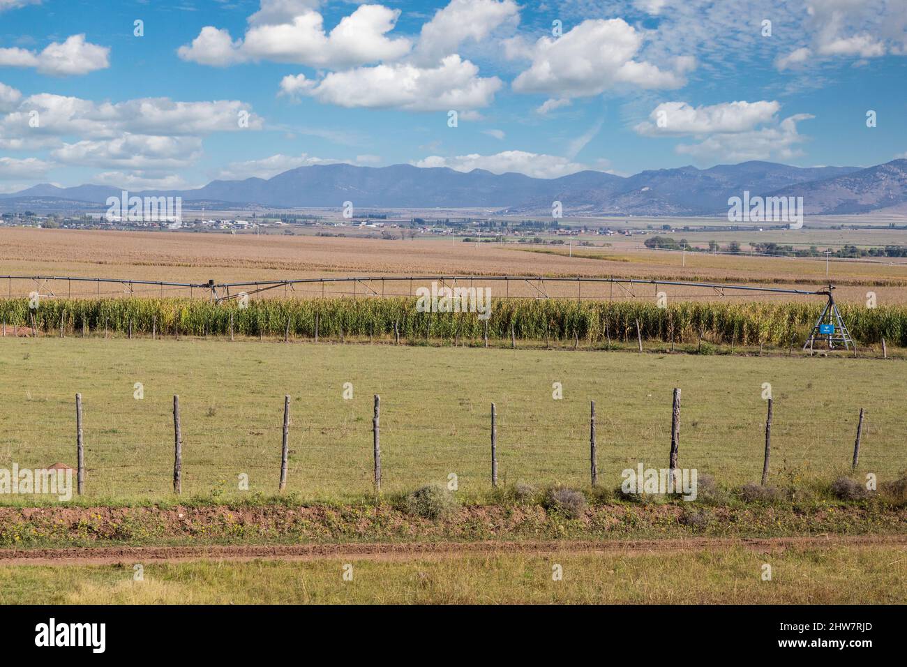 Bewässerte Farmland von El Chepe Zug gesehen zwischen La Junta und Creel, Chihuahua Staat, Mexiko. Stockfoto