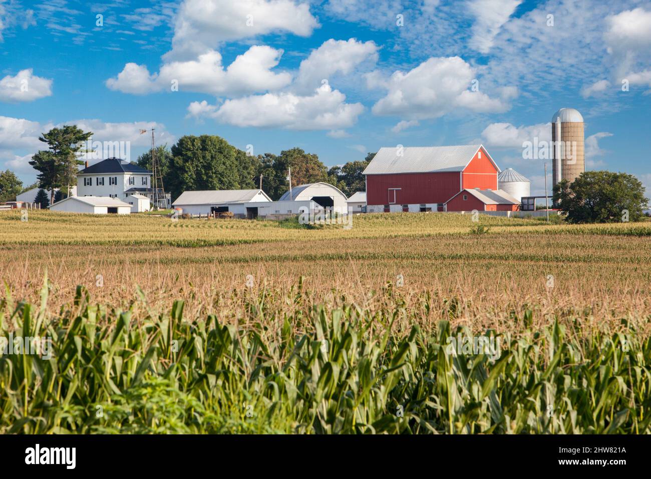 Iowa Bauernhof und Kornfeld, Dubuque County, in der Nähe von Worthington. Stockfoto