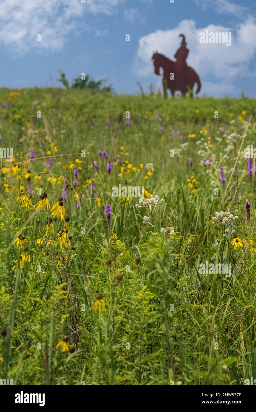 Indian Brave Sculpture in Prarie Grassland and Wildflowers, Missouri Welcome Center, Highway I-35. Stockfoto