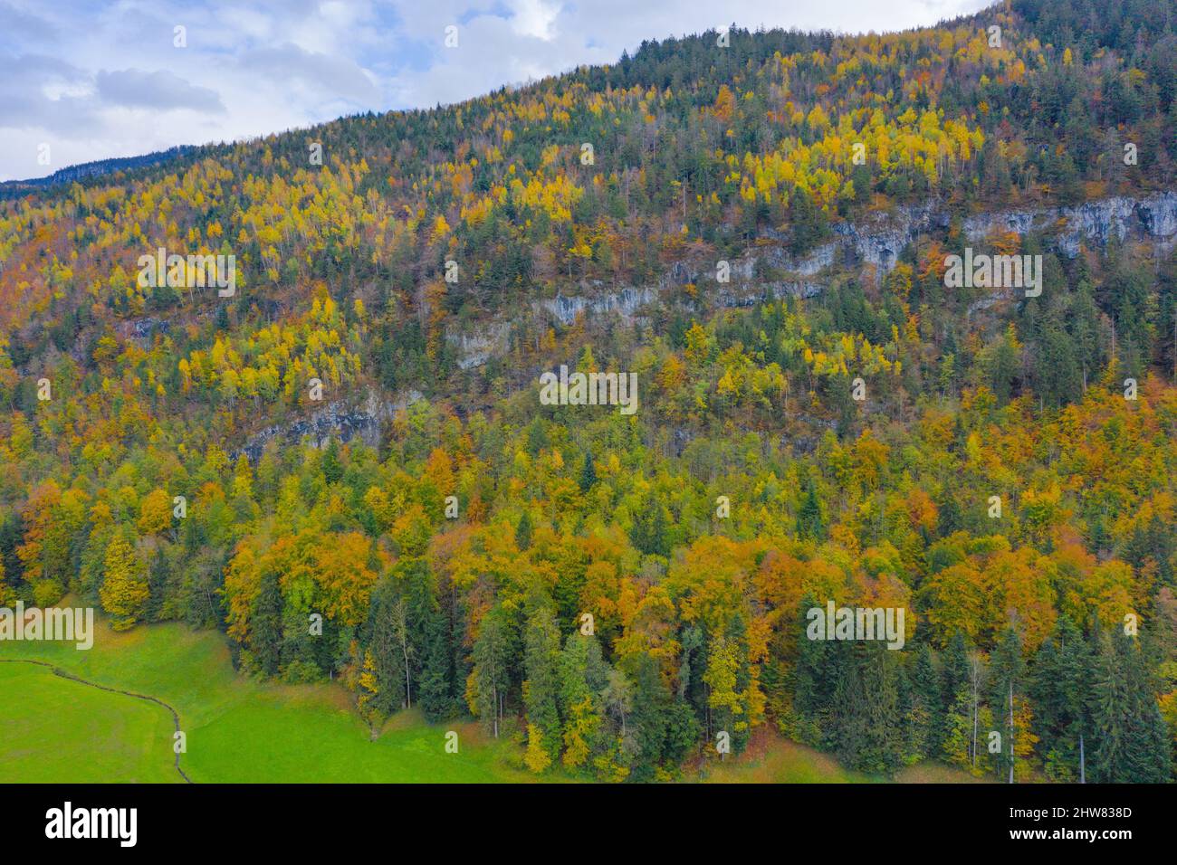 Herbstwald. Luftaufnahme von der Drohne. Stockfoto