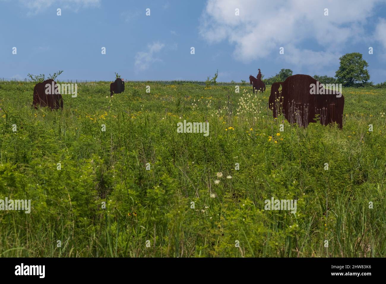 Buffalo and Indian Brave Sculpture in Prarie Grassland, Missouri Welcome Center, Highway I-35. Stockfoto