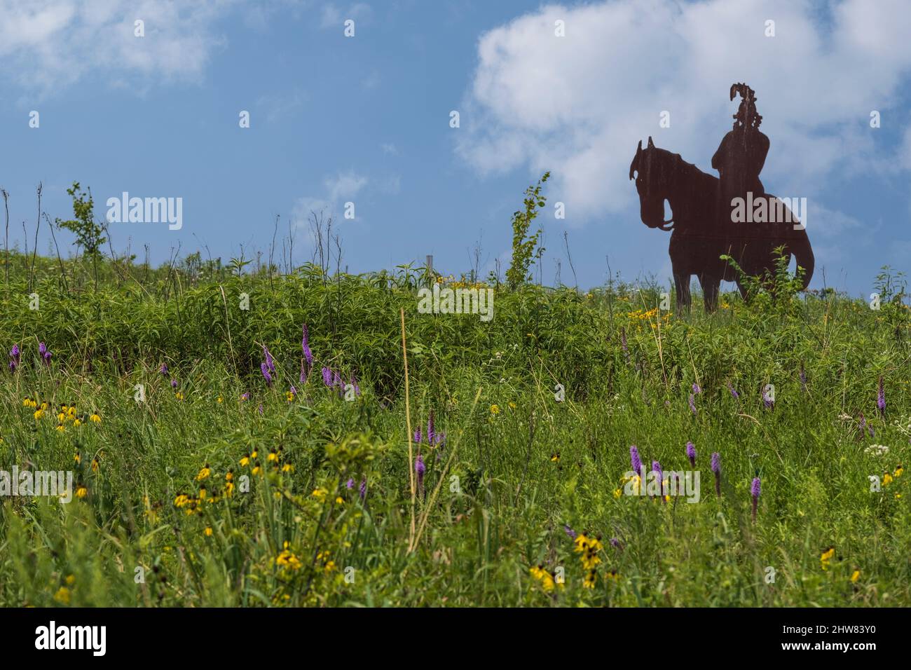 Indian Brave Sculpture in Prarie Grassland and Wildflowers, Missouri Welcome Center, Highway I-35. Stockfoto