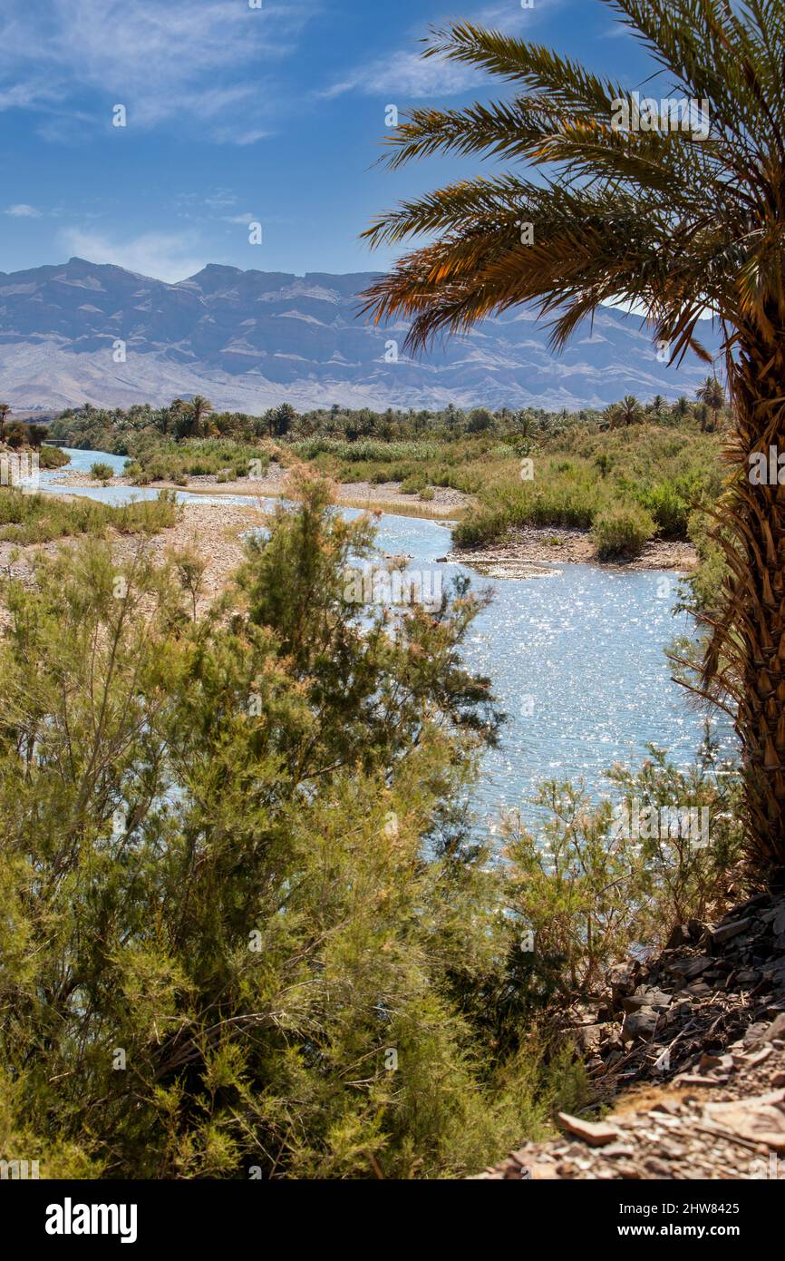 Draa River Valley Szene, Marokko, in der Nähe von Zagora. Stockfoto