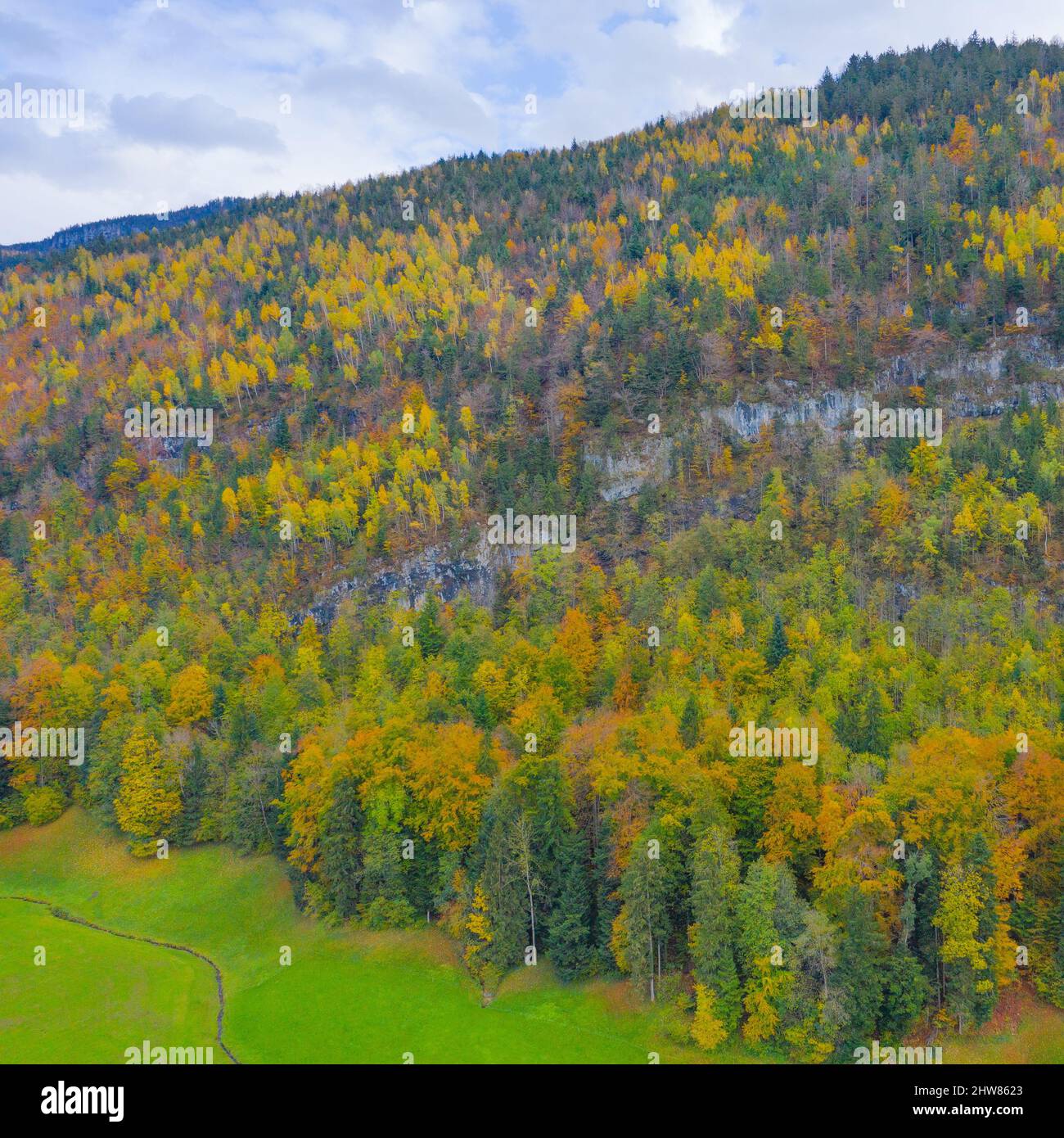 Herbstwald. Luftaufnahme von der Drohne. Stockfoto