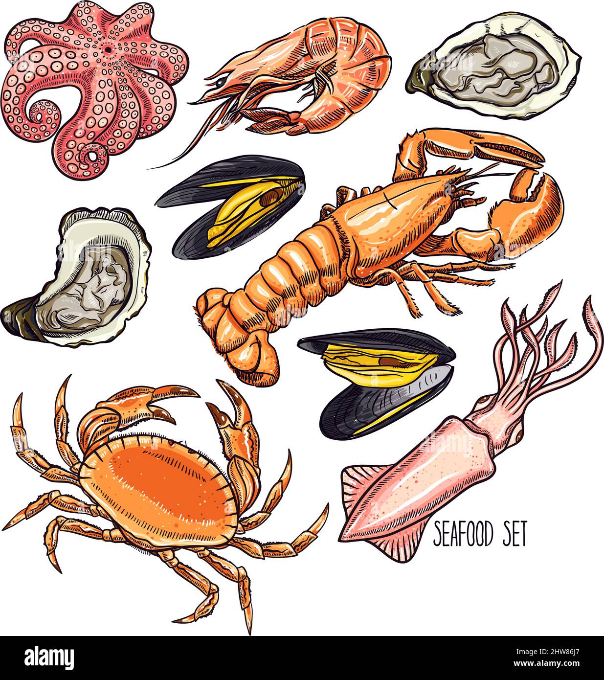 Set von verschiedenen Meerestieren. Handgezeichnete Illustration Stock Vektor