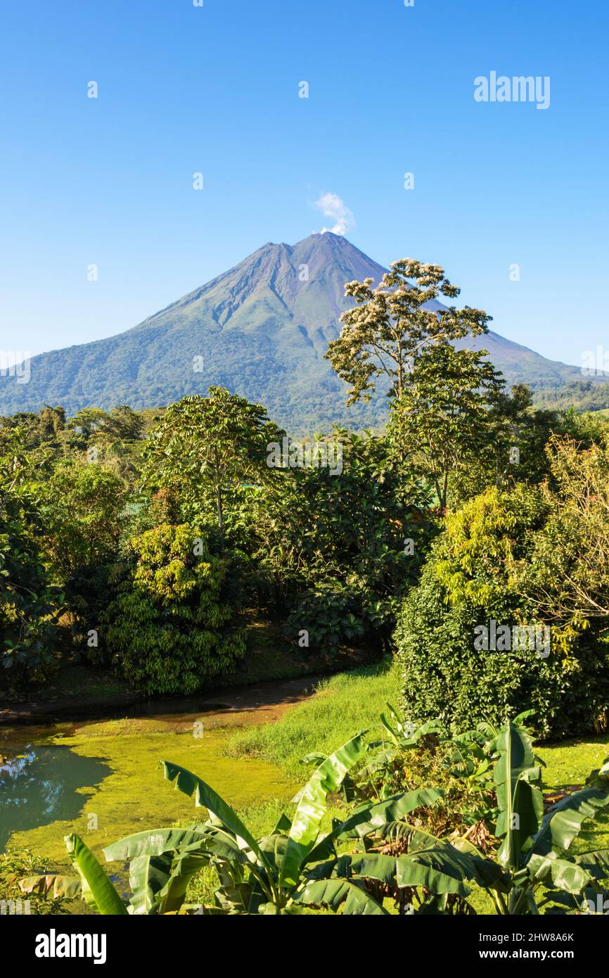 Gas und Wasserdampf steigen an einem wolkenlosen Tag am klaren, blauen Himmel vom Vulkan Arenal auf. La Fortuna, San Carlos, Provinz Alajuela, Costa Rica ... mehr Stockfoto