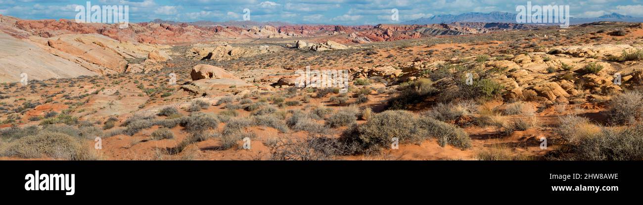 Valley of Fire, Nevada.  Rainbow Vista. Stockfoto