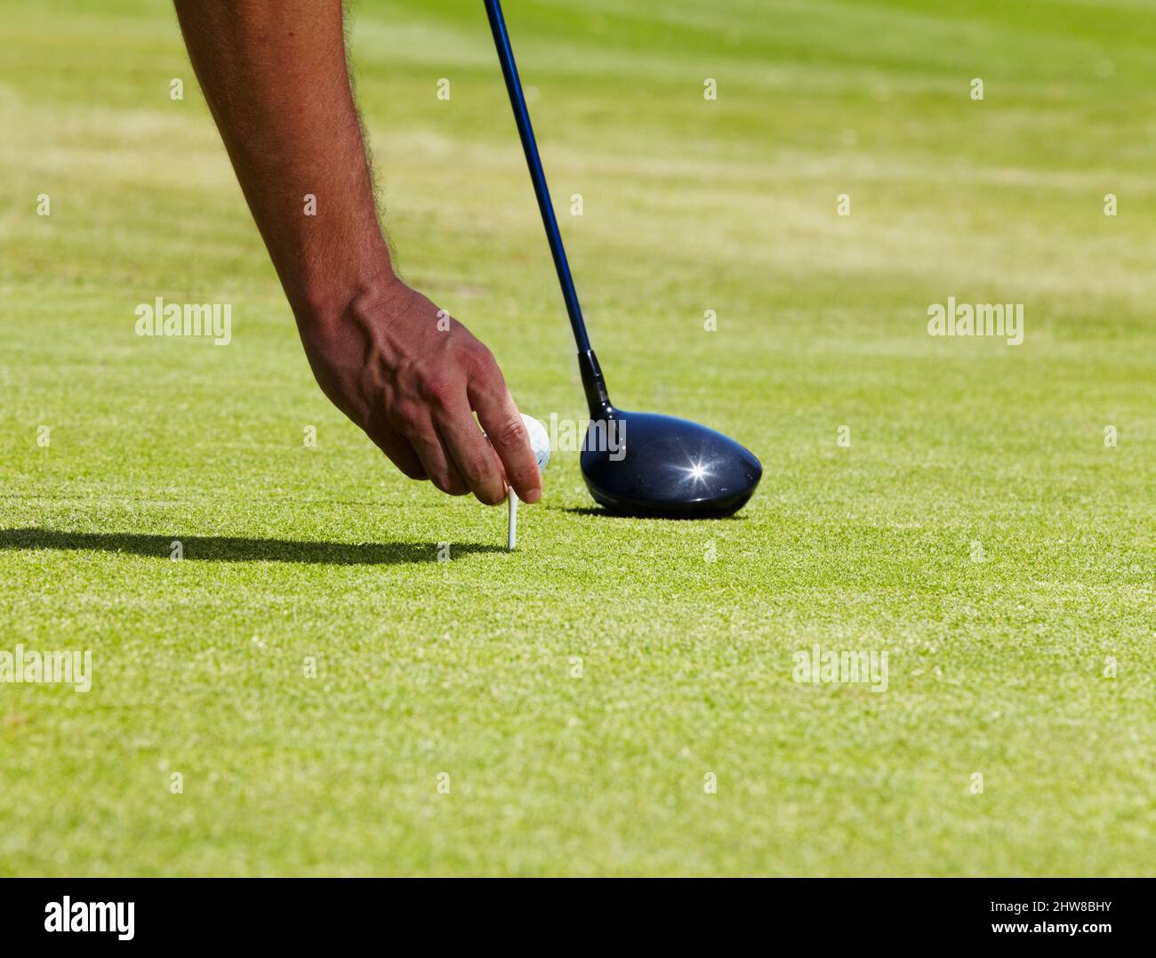 Das wird sich tragen lassen. Zugeschnittenes Bild eines Golfers, der einen Ball auf ein T-Shirt legt. Stockfoto