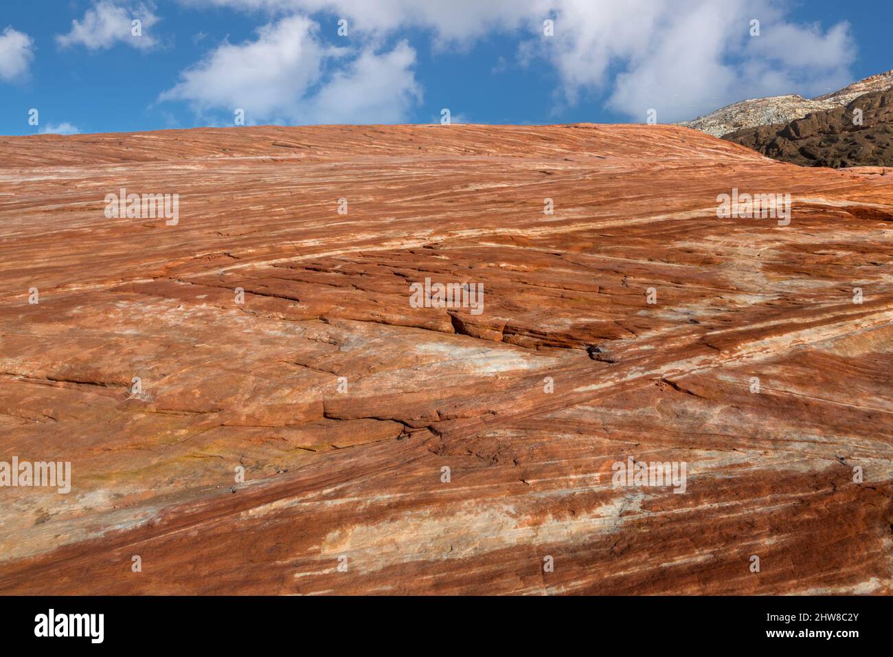 Valley of Fire, Nevada.  Die Fire Wave--Rillen quer durch Sandstein. Stockfoto