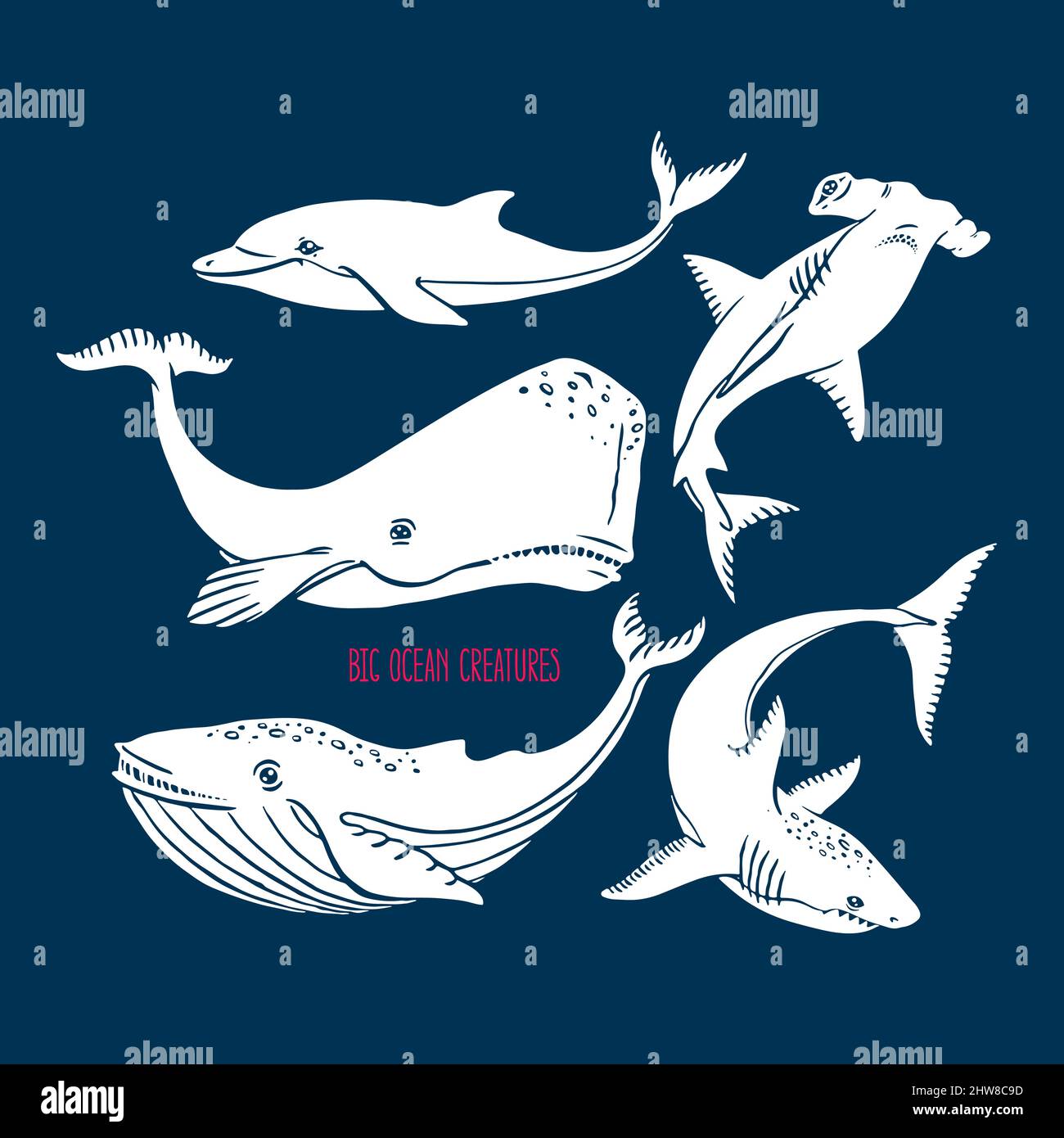 Set von großen Meereslebewesen. Handgezeichnete Illustration Stock Vektor