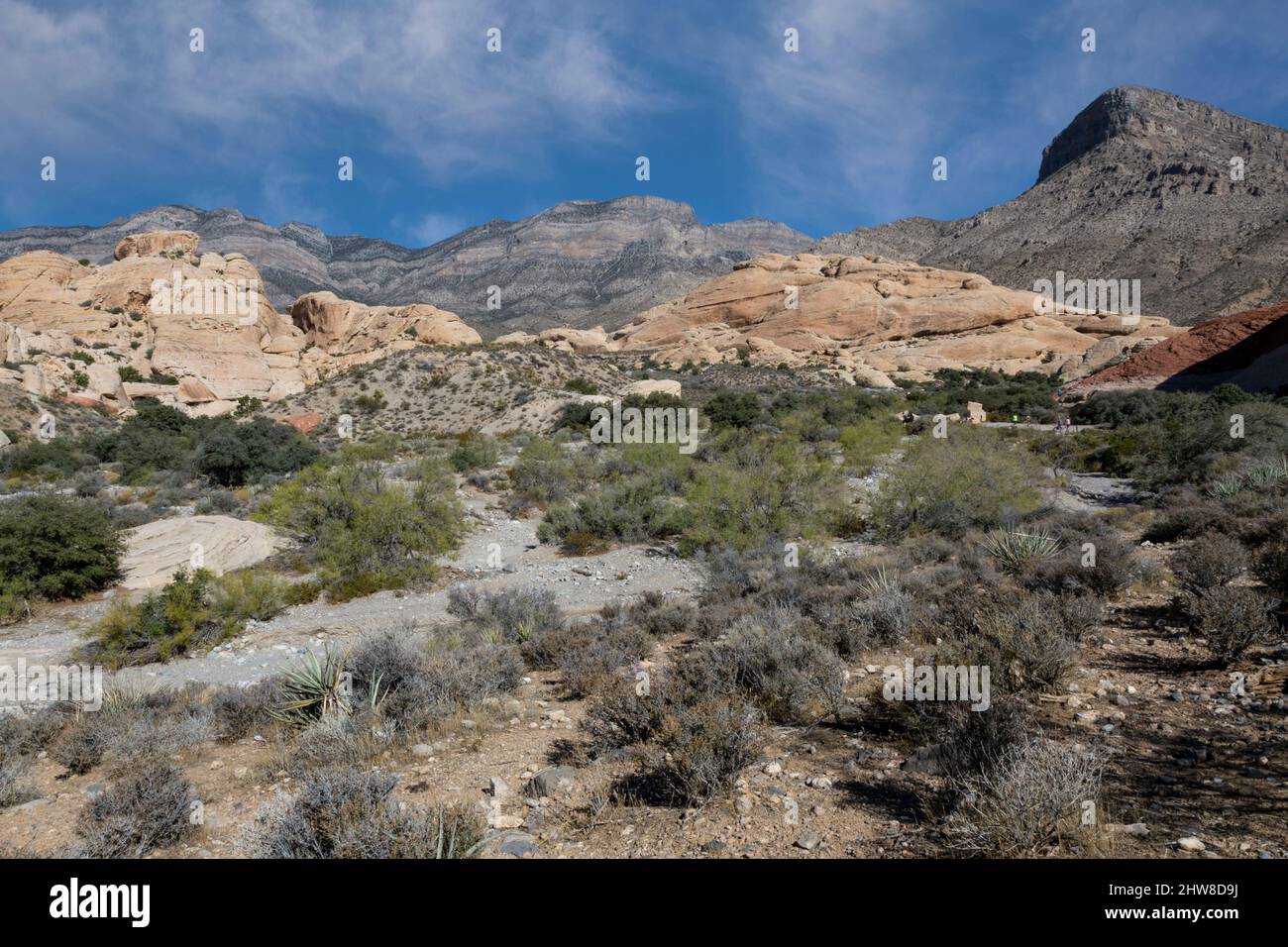 Red Rock Canyon, Nevada. Grauer Kalkstein im Vordergrund erhebt sich der Felsen des Keystone Schubs über dem jüngeren hellen Sandstein. Stockfoto