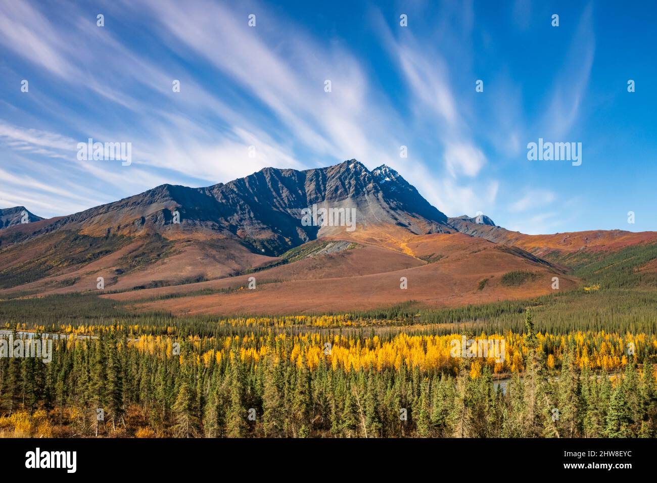 Brooks Range, Arktis, Tundra-Taiga, Alaska Stockfoto