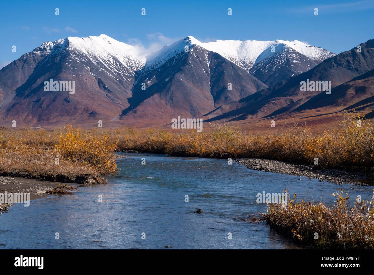 Nordamerika; Usa; Alaska; Polarkreis; Brooks Range Mountains; Chandalar Shelf; Herbst; Stockfoto