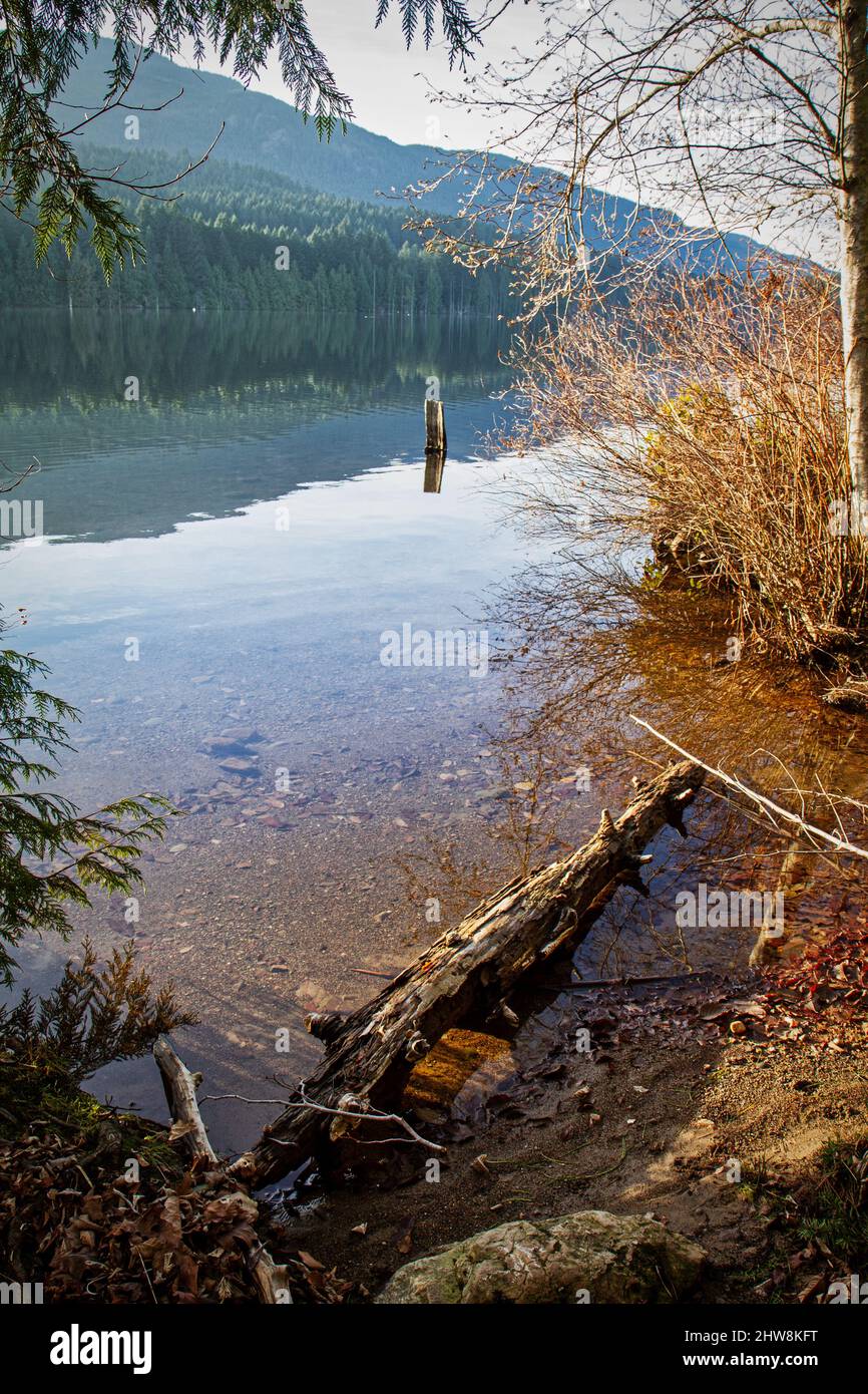 Wunderschöne Landschaft eines Sees in der Nähe eines dichten Waldes auf einem Hügel in Vancouver Stockfoto