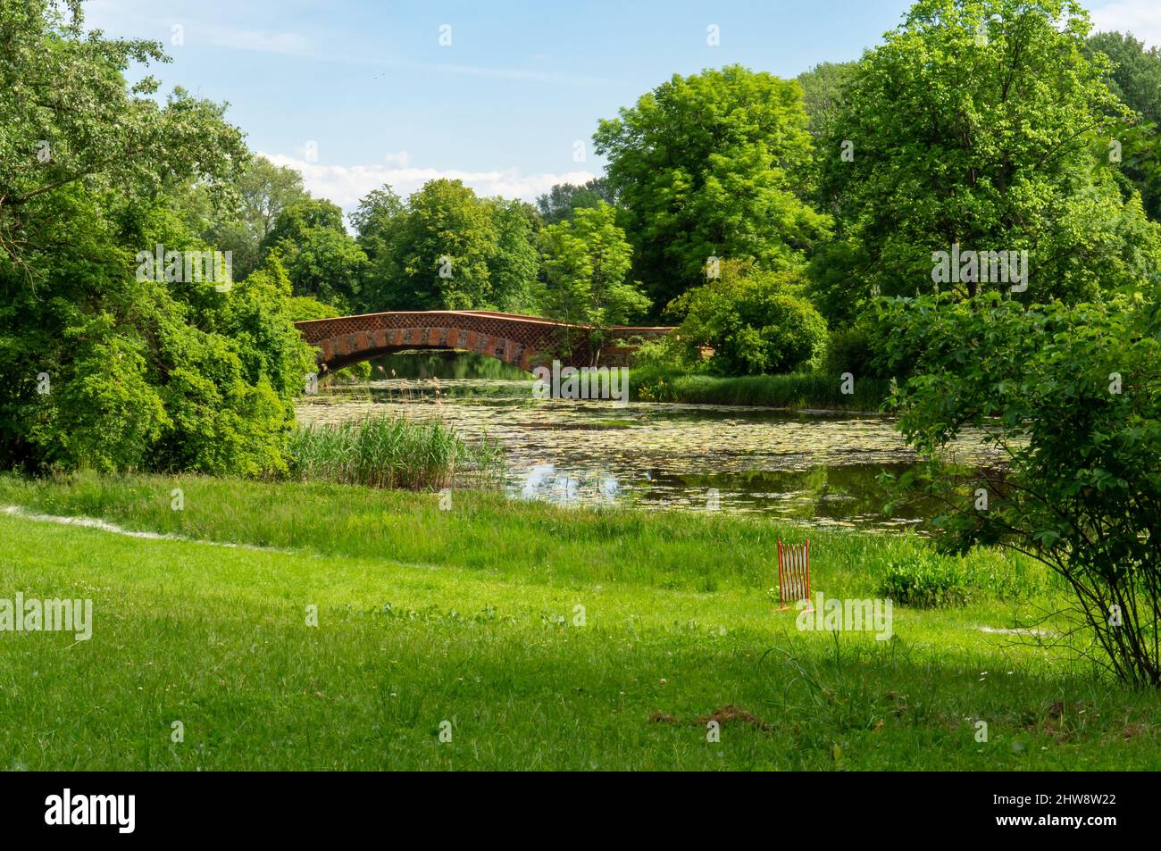 Römische Brücke im Park des Palastes in Wilanow in Warschau. Blick auf den Teich, die Wiese und den blühenden Busch Stockfoto