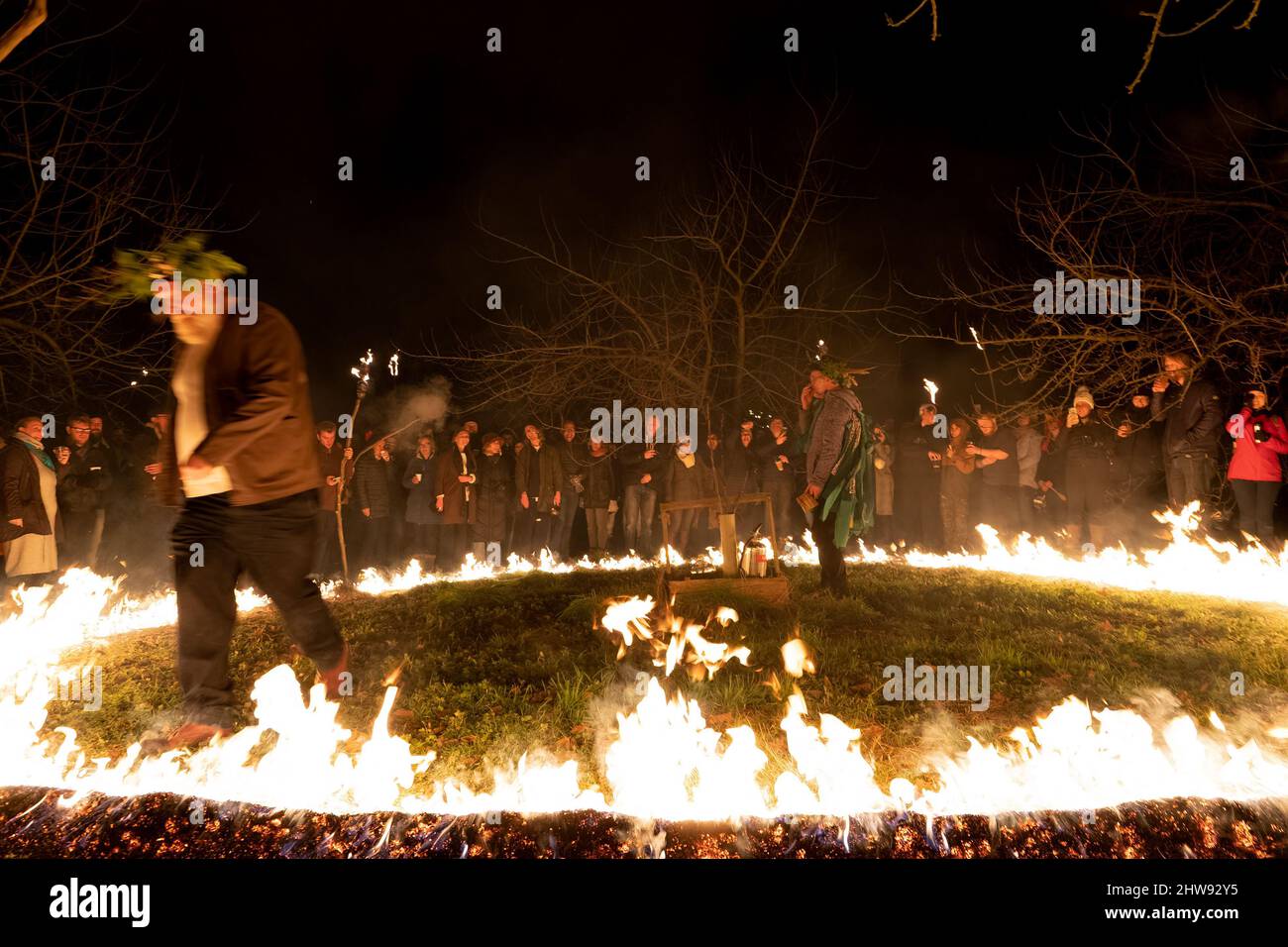 Eine traditionelle englische Wassail, eine Wintertradition, die eine gute Ernte von Apfelbäumen aus einem Obstgarten gewährleisten soll Stockfoto