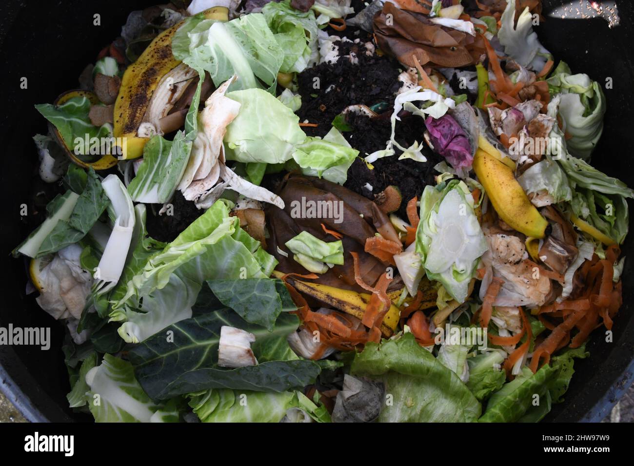 Der Inhalt eines Plastikkompostbehälters auf einer Zuteilung. Hergestellt aus dem Hausmüll, Gemüseschälungen, Kaffeesatz und Teeblätter, Papier, f Stockfoto