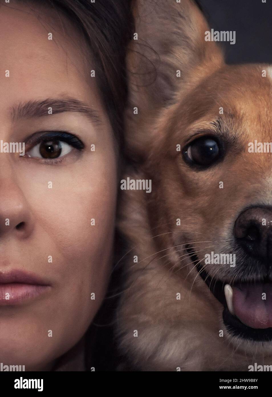 Nahaufnahme neben dem Gesicht einer Person und der Schnauze eines Hundes. Besitzer und Haustier zusammen und gleich Stockfoto