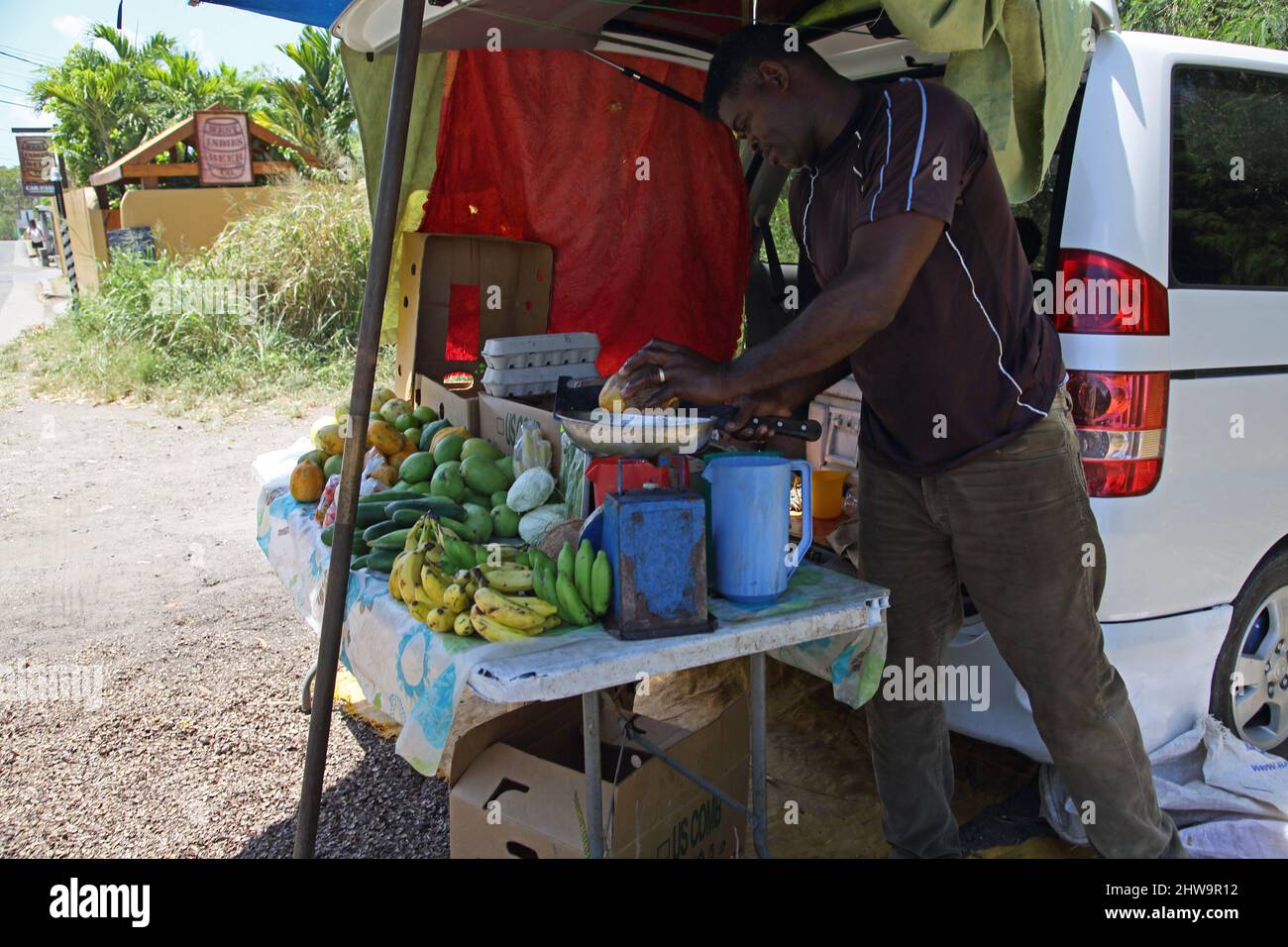 Prickly Bay Grenada L'anse Aux Epines Beach Obst und Gemüse Verkäufer Stockfoto