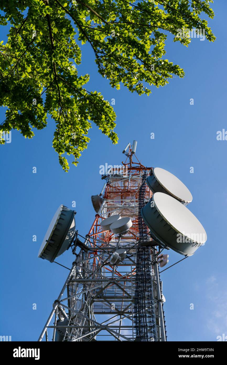 Parabolantennen auf Stahlkommunikationsturm unter blauem Himmel und Baumzweig. Transmitterstation mit Geräten zur Übertragung von HF-Signalen. Stockfoto