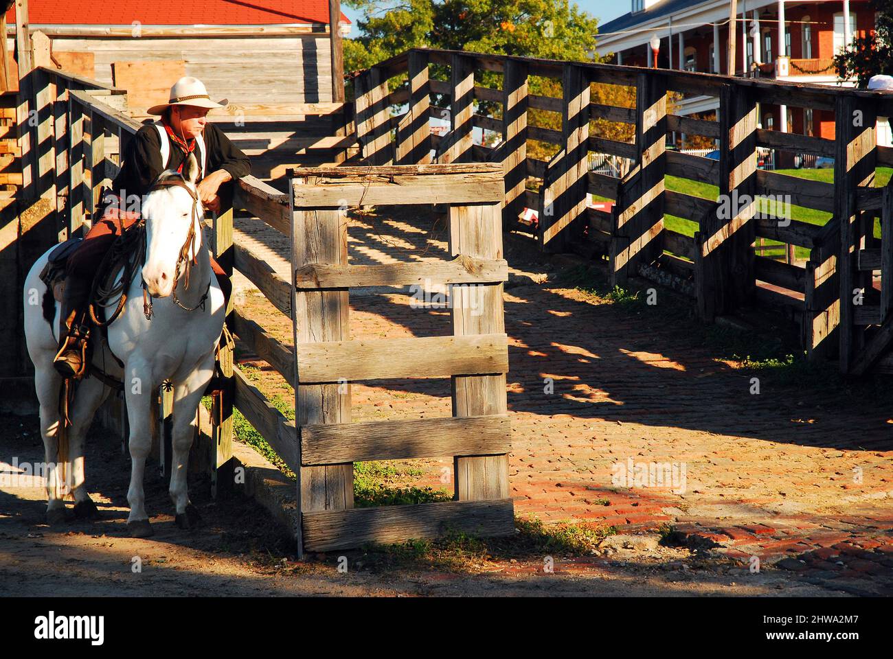 Ein Cowboy steht in Texas über einem offenen Stift Stockfoto