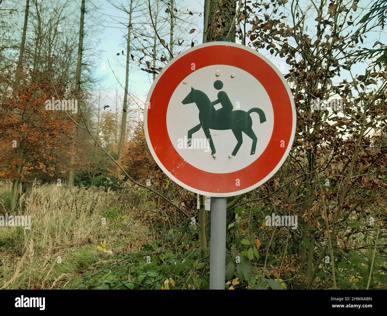 Verbotsschild für Reiten, Deutschland Stockfoto