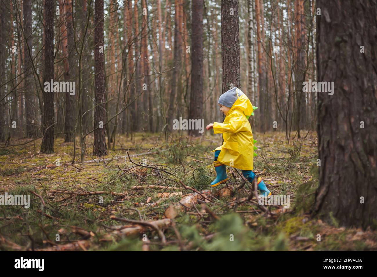 Kind im gelben Regenmantel spaziert nach Regen und Spaß im Wald Stockfoto