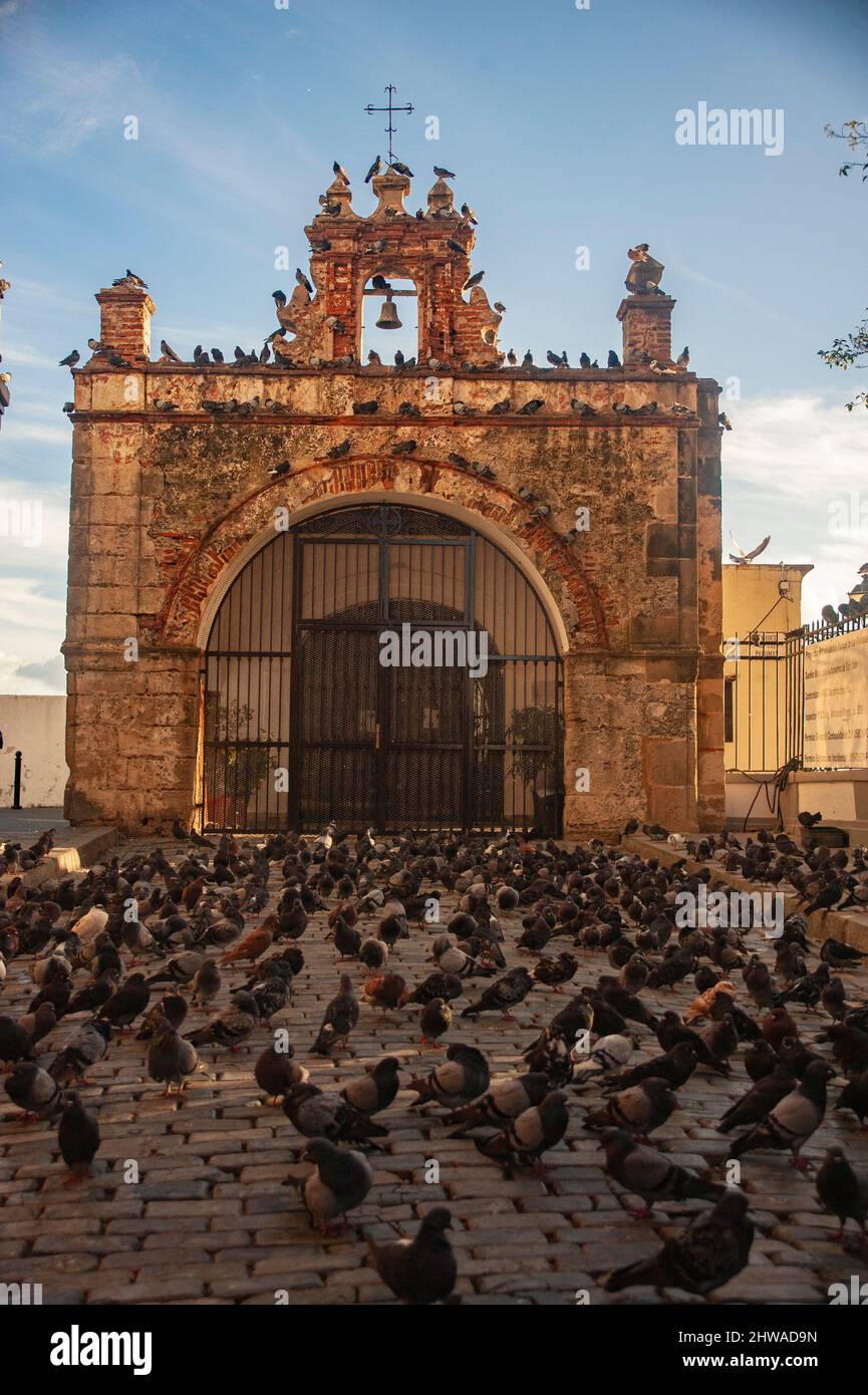 Tauben sitzen und legen um die berühmte Kirche und den Park von Capilla del Santo Cristo de la Salud in Old San Juan, Puerto Rico. Stockfoto