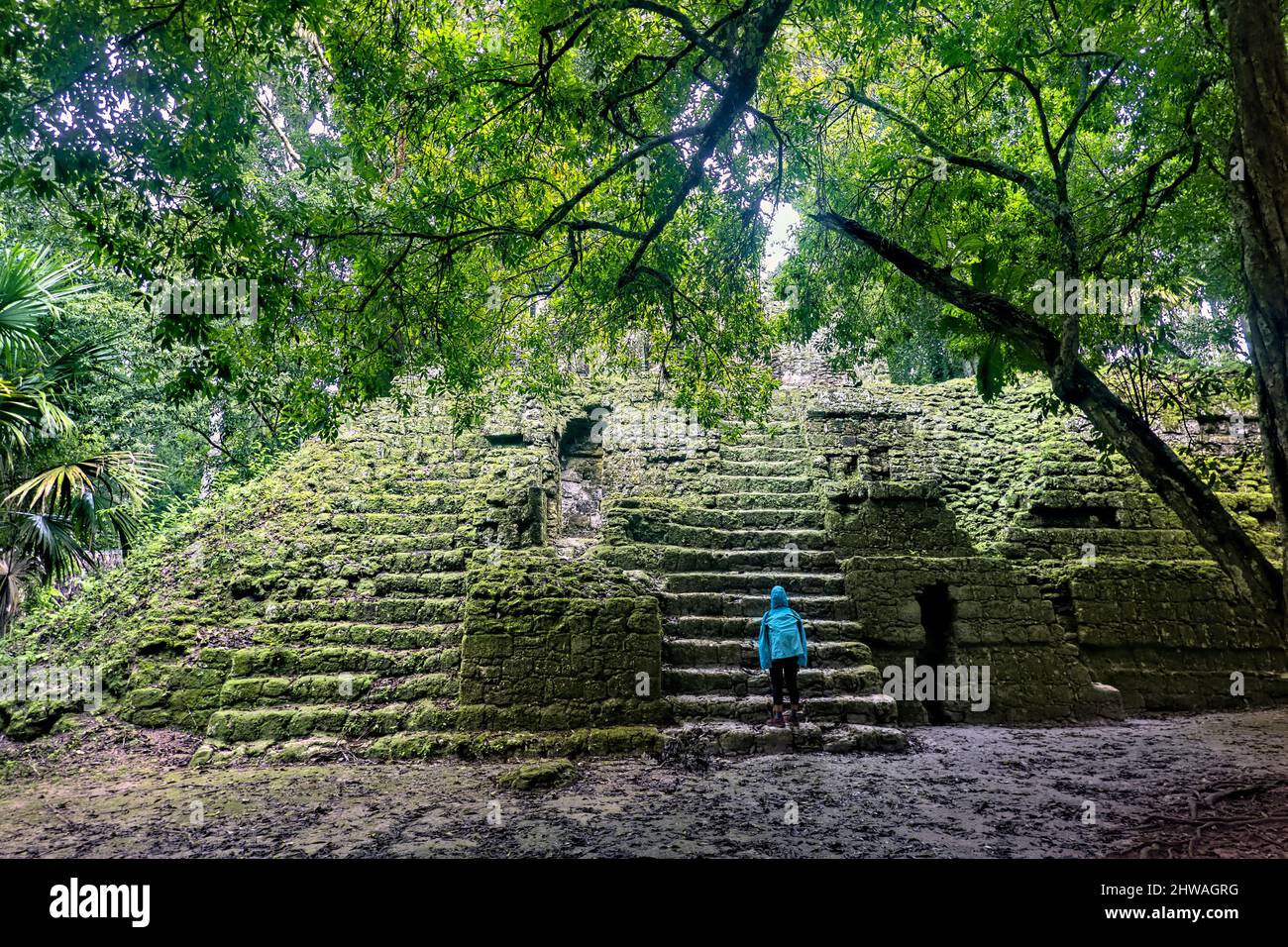 Der Dschungel, der alte Maya-Ruinen, den Tikal Nationalpark, Petén, Guatemala, überzieht Stockfoto