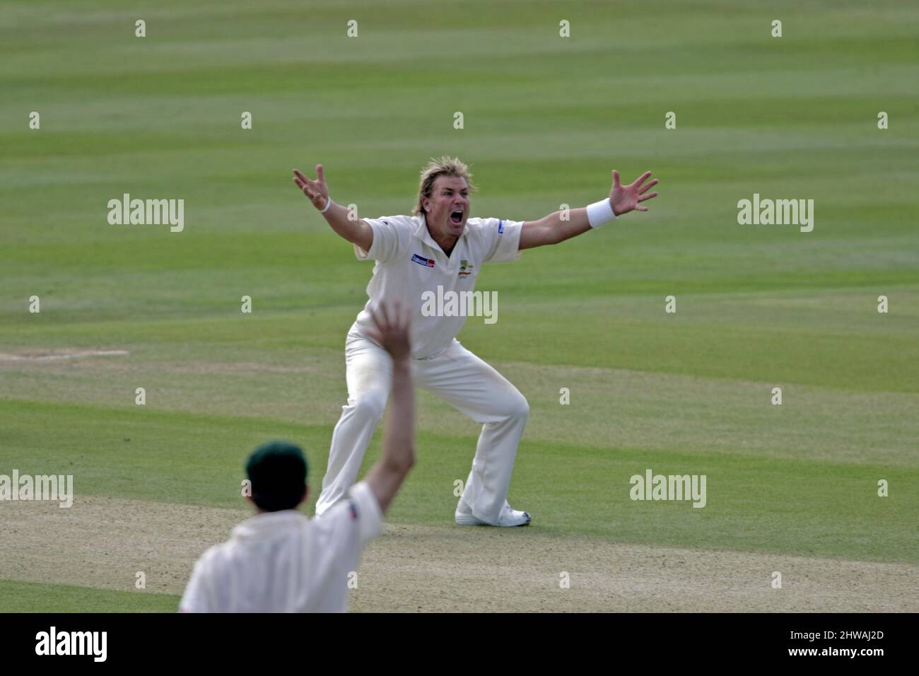 4. August 2005: Shane Warne, ein australischer Leg-Spin-Bowler, appelliert am Tag an einen der 2. npower Ashes Tests, die zwischen England und Australien auf dem Edgbaston Cricket Ground, Birmingham, gespielt wurden. Foto: Neil Tingle/Actionplus.050804 Cricketspieler-Cricket-Asche Stockfoto