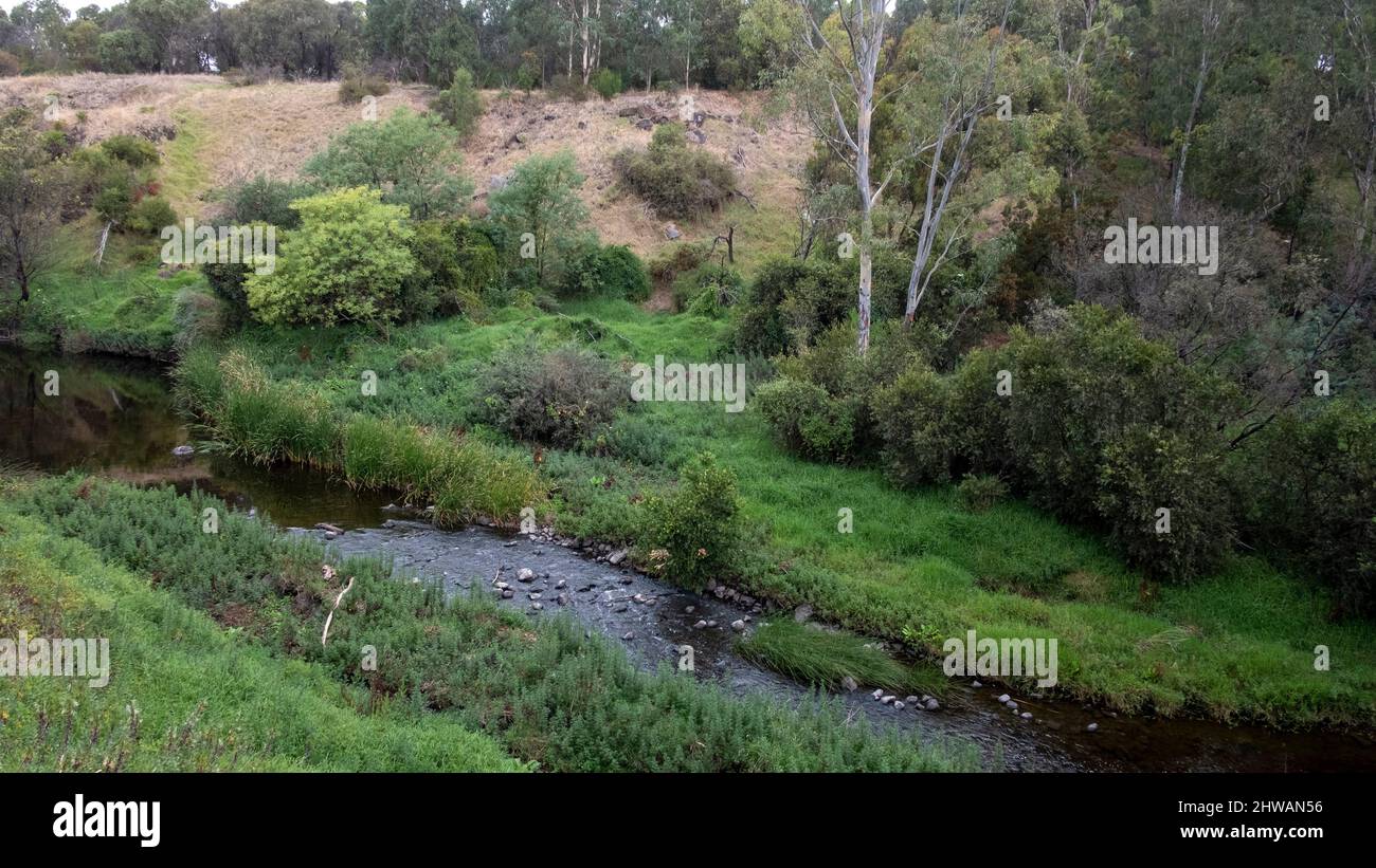 Merri Creek in Clifton Hill, Melbourne, Victoria, Australien Stockfoto