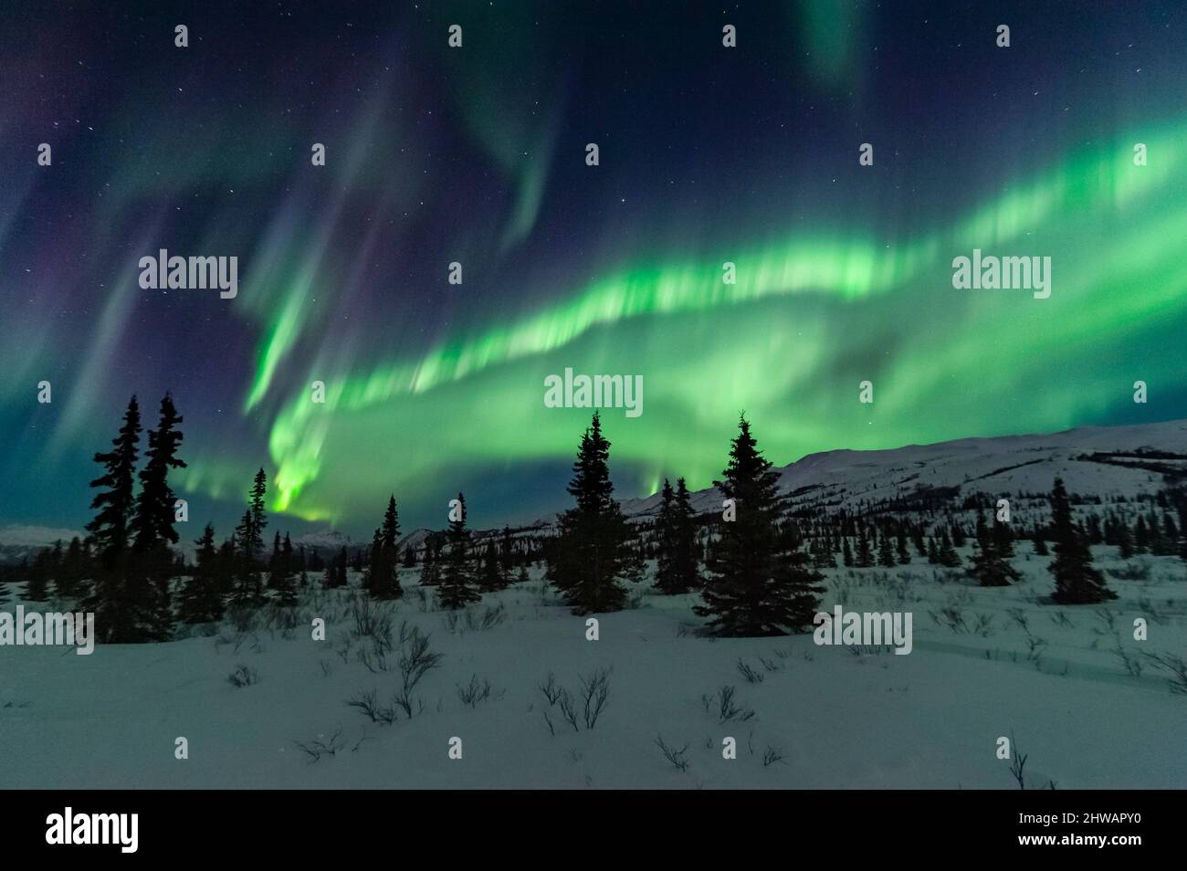 Aurora Borealis, Nordlichter, Nachthimmel, Alaska Stockfoto