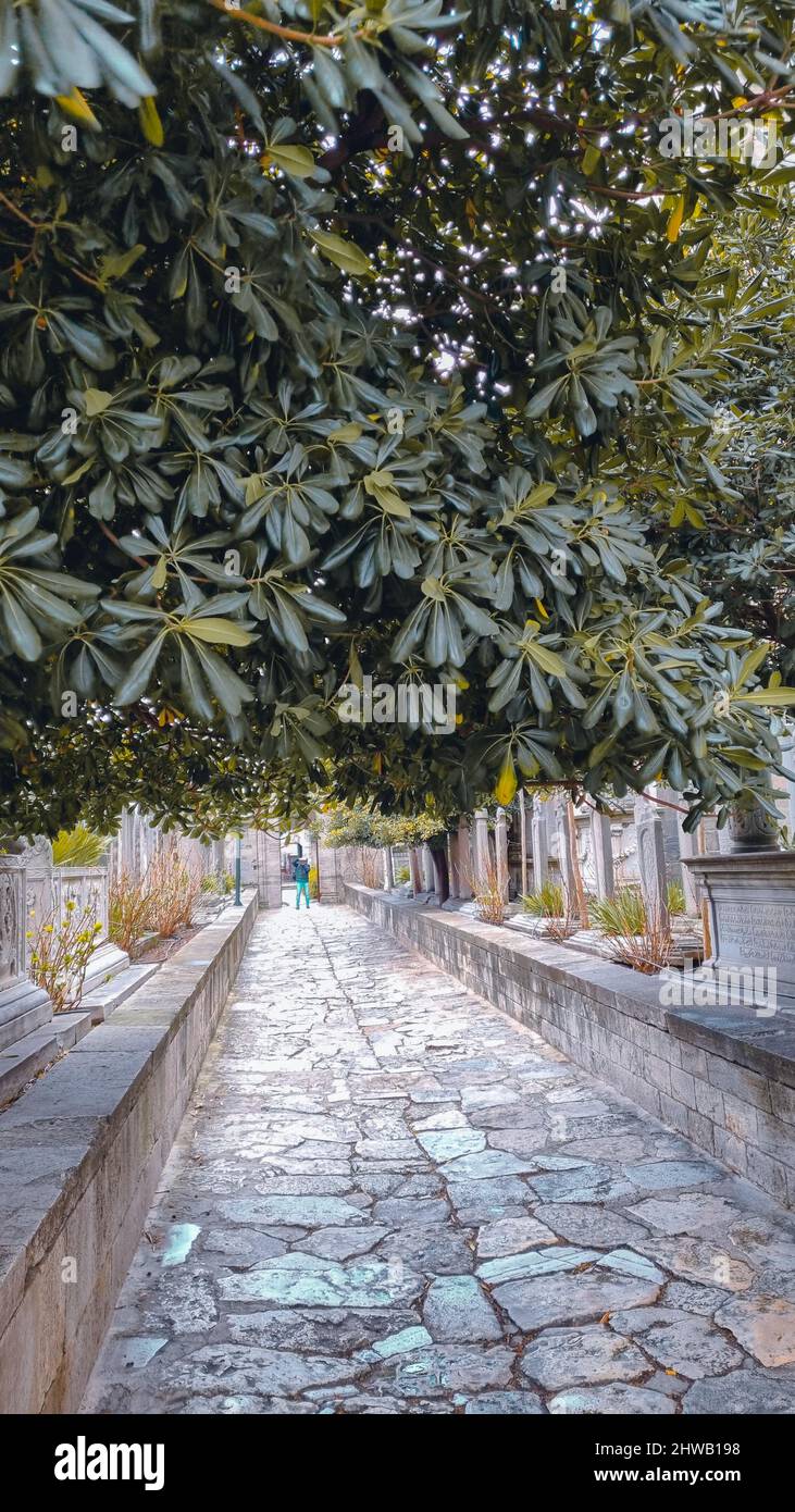 Mausoleum von Suleiman das prächtige Istanbul Stockfoto