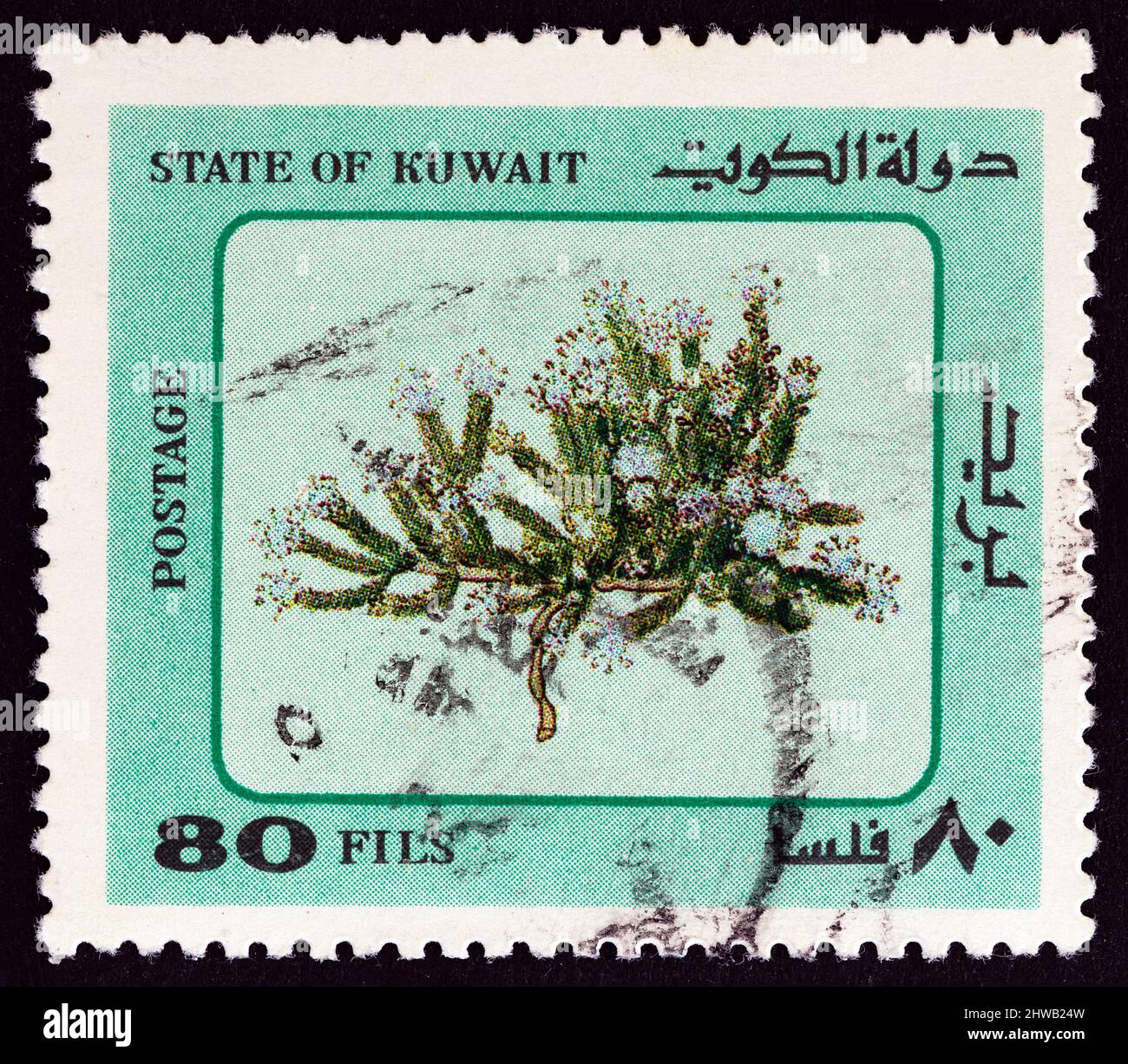 KUWAIT - UM 1983: Eine in Kuwait gedruckte Marke aus der Ausgabe 'Desert Plants' zeigt Desert Plant, um 1983. Stockfoto