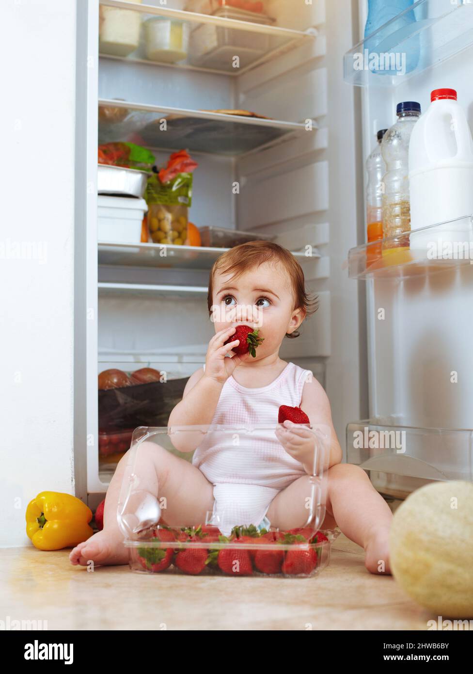 Kann nicht reden. Erdbeeren essen. Aufnahme eines Kleinkindes, das Lebensmittel aus dem Kühlschrank isst. Stockfoto