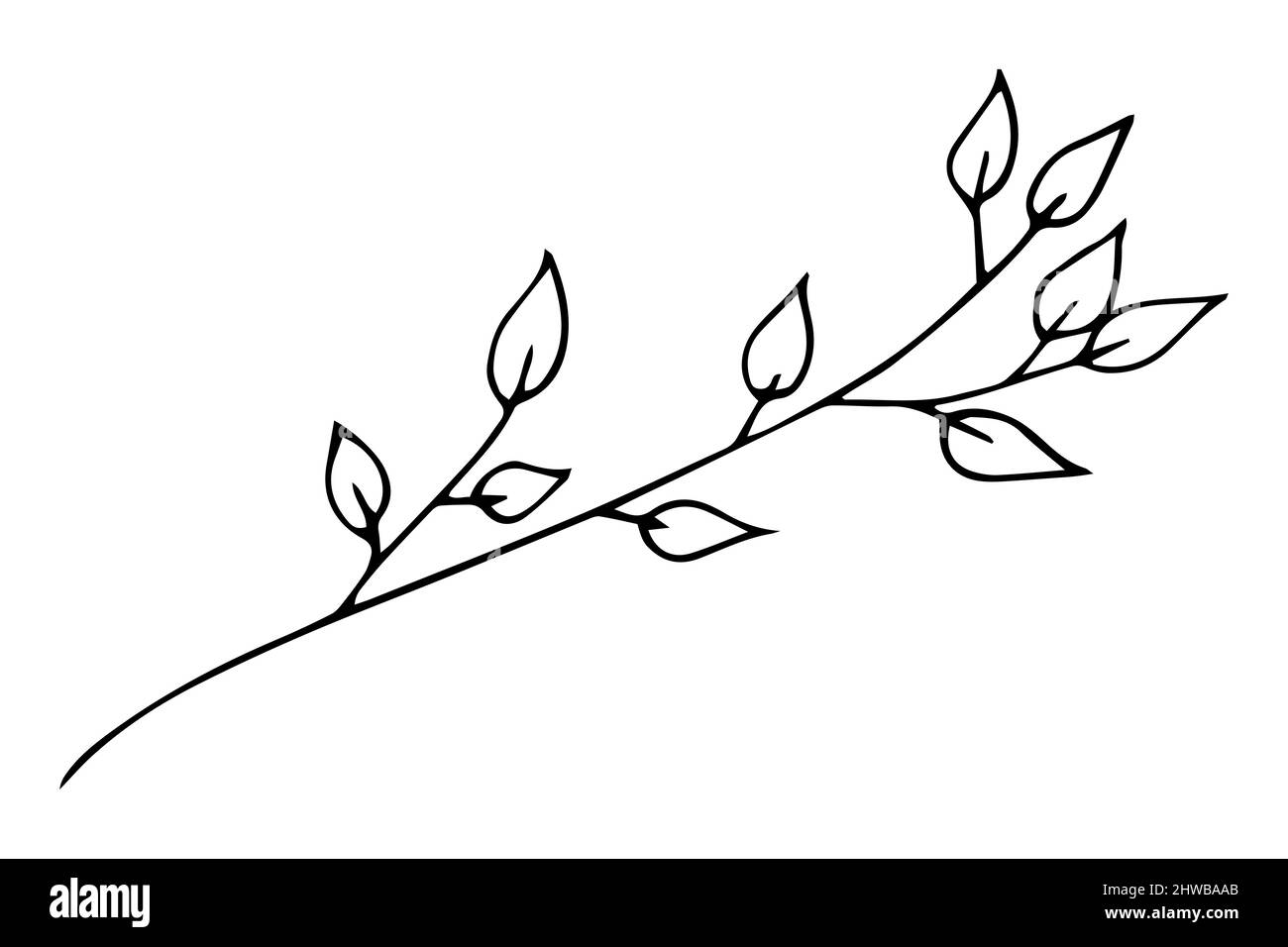 Abstrakt geformte Blätter. Minimalistische Kunst, moderne Modeformen. Von Hand gezeichnete Blätter Vektorset. Illustration Grafik Zeichnungslinie Stock Vektor