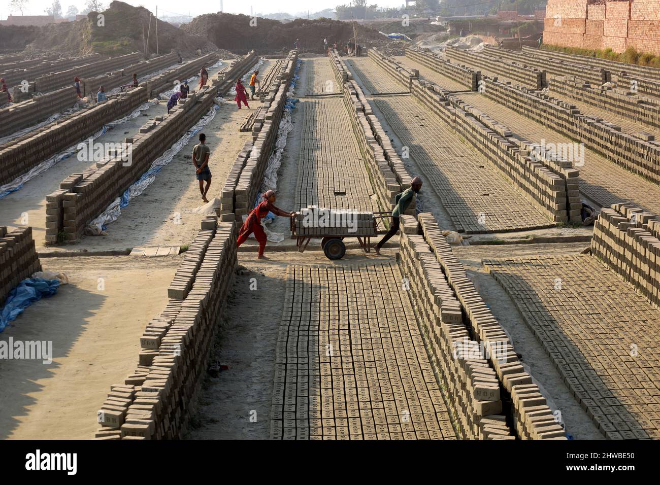 Im Munshigonj District, Bangladesch, arbeiten Arbeiter in einem Ziegelfeld, um Steine zu fertigen. Der Rohstoff des Ziegels ist Ton. Es gibt vier Schritte der Herstellung von Ziegeln. Dies sind die Vorbereitung von Ziegelteinen, das Formen von Ziegelsteinen, das Trocknen von Ziegelsteinen im Sonnenlicht und das Brennen von Ziegelsteinen. Ein Ziegel wiegt 5 Pfund. Normalerweise werden Steine für jede Art von Bauarbeiten verwendet. In diesen Bildern machen Arbeiter Ziegelsteine aus Lehm und trocknen im Sonnenlicht. Nach Abschluss des Trocknungsprozesses werden diese Steine durch Brennen im Feuer hergestellt. (Foto von Syed Mahabubul Kader/Pacific Press) Stockfoto