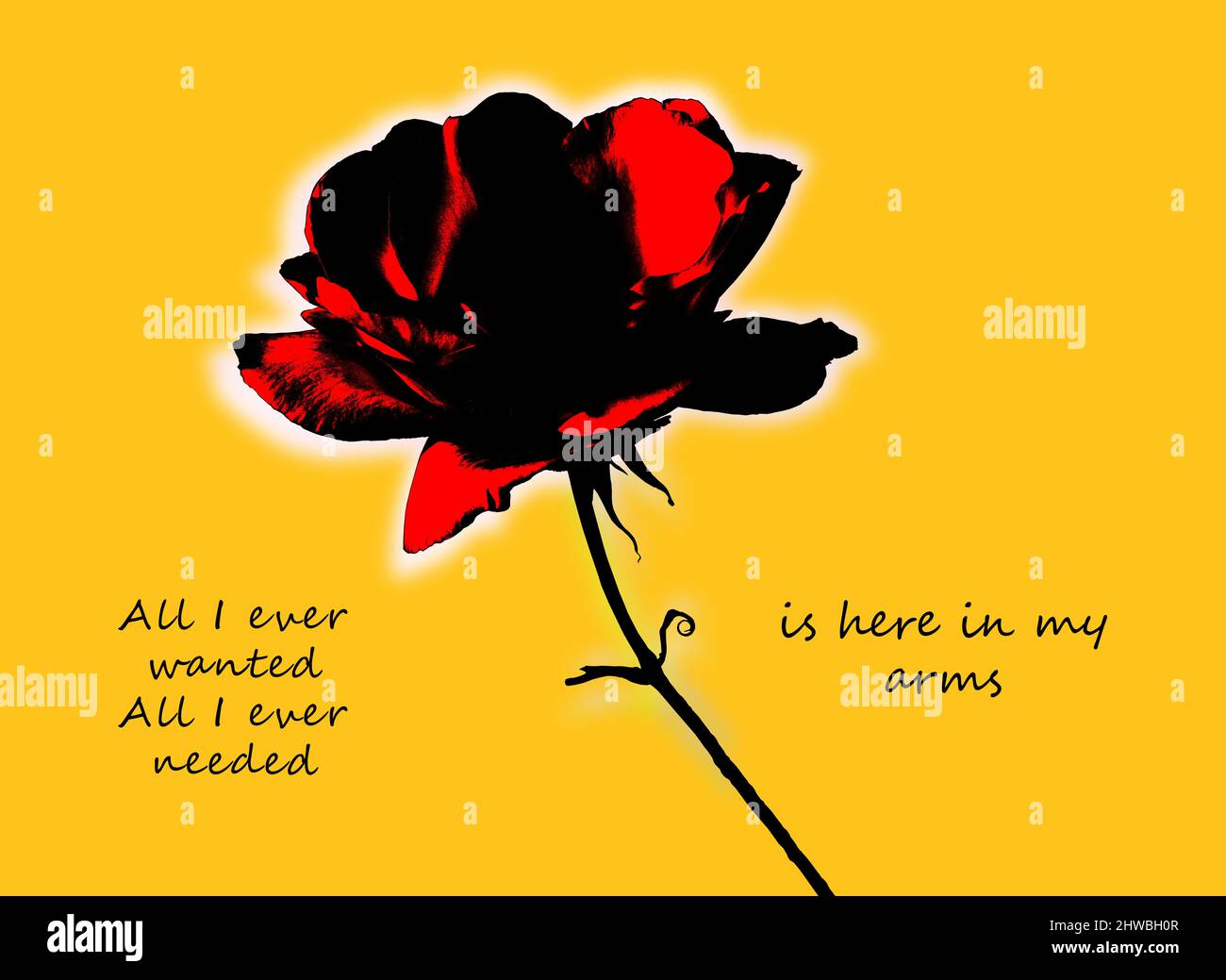 Helle und kontrastierende rote Rose und romantische Phrase auf gelbem Hintergrund Stockfoto
