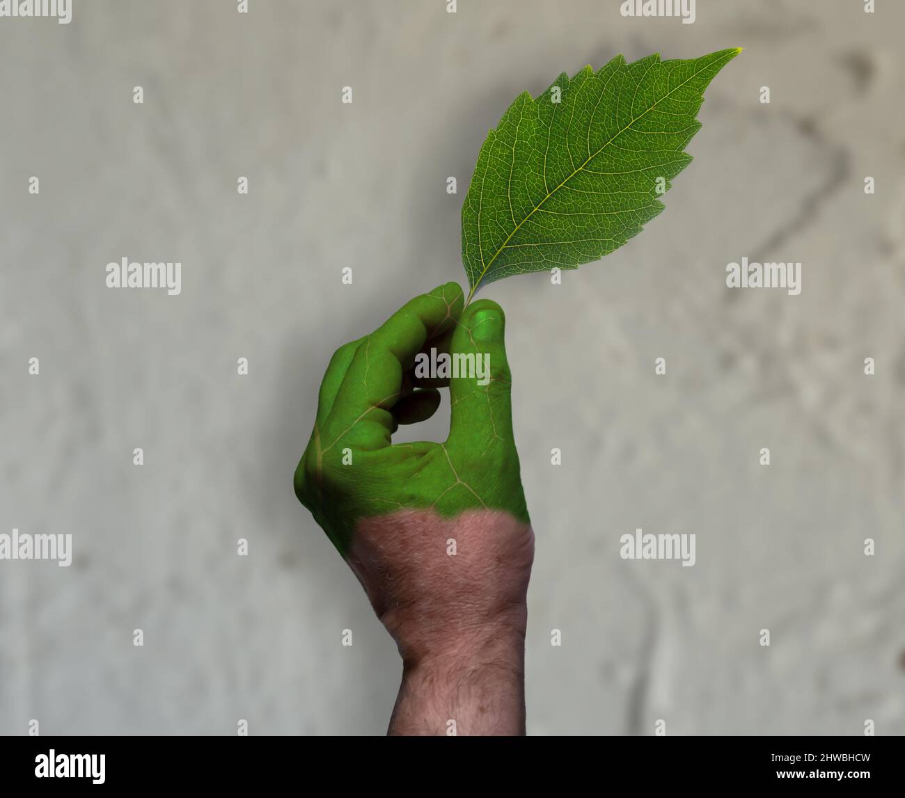 Grünwaschen: Eine teilweise bemalte Hand mit der Textur eines Blattes hält ein Blatt vor einem konkreten Hintergrund. Nicht alles, was 'grün' ist, ist enviro Stockfoto