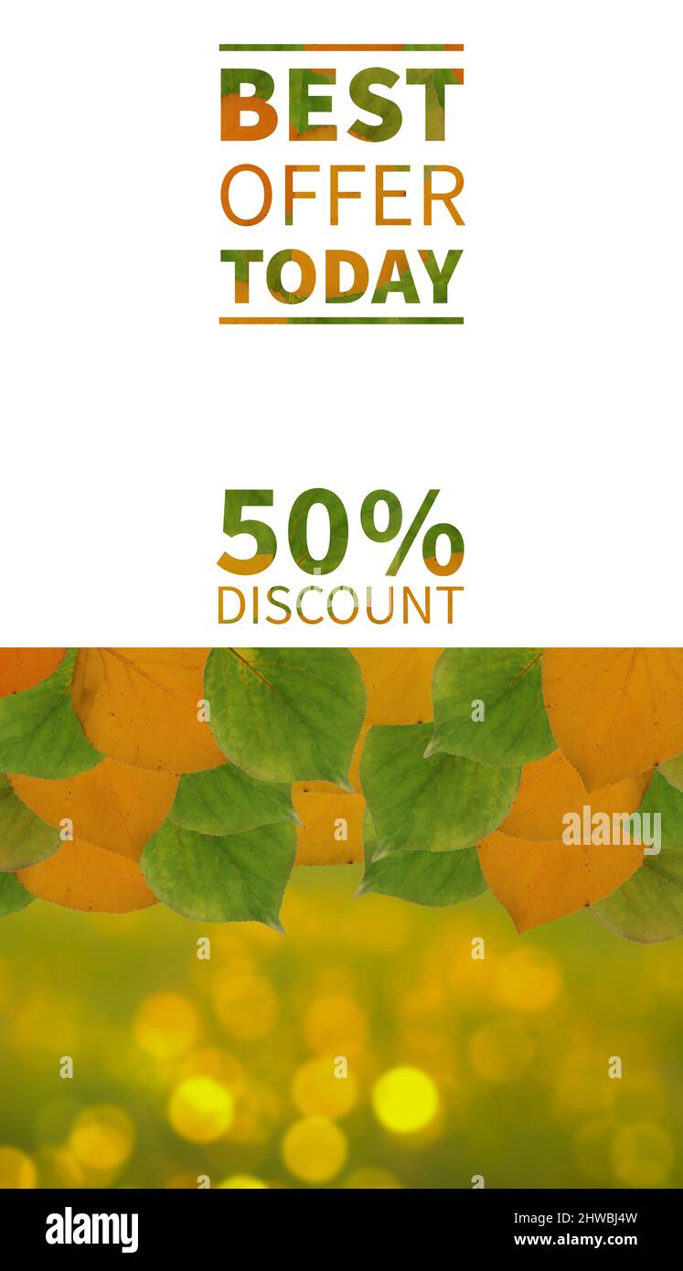 Sale Banner, das beste Angebot von heute 50% Rabatt Herbstblätter mit weißem Hintergrund. Flaches Layout, Draufsicht, Kopierbereich Stockfoto