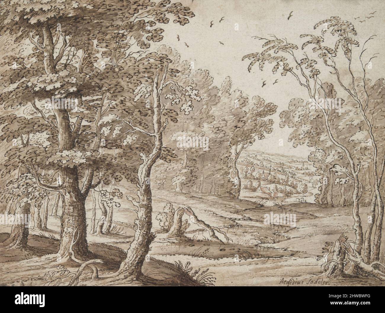 Clearing in the Woods. Künstler, zugeschrieben: Hendrik Hondius I, Niederländisch, 1573–1650 Stockfoto