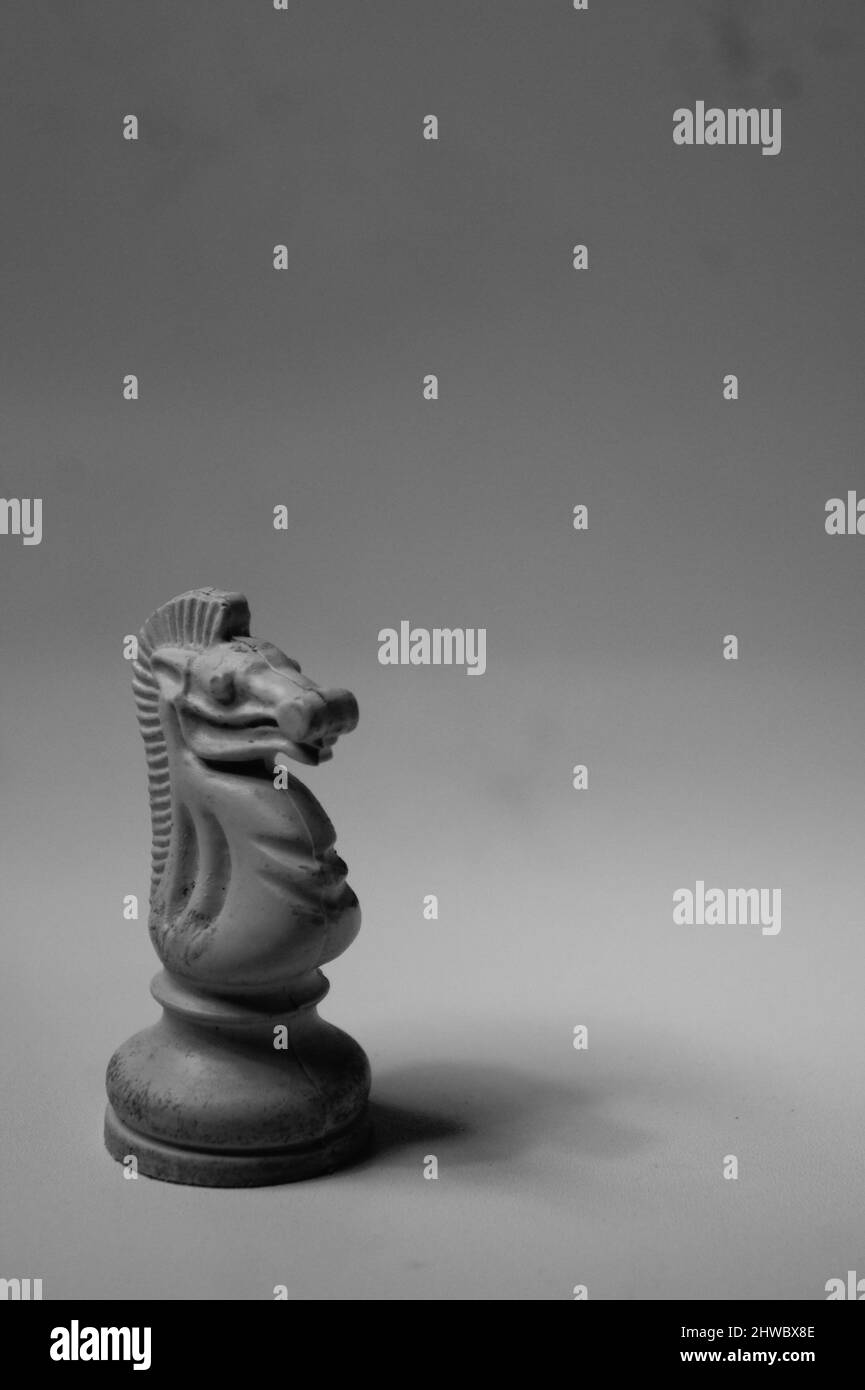 Schachfigur, König, Königin, Bischof, Ritterrok, Schwarz und Weiß Stockfoto